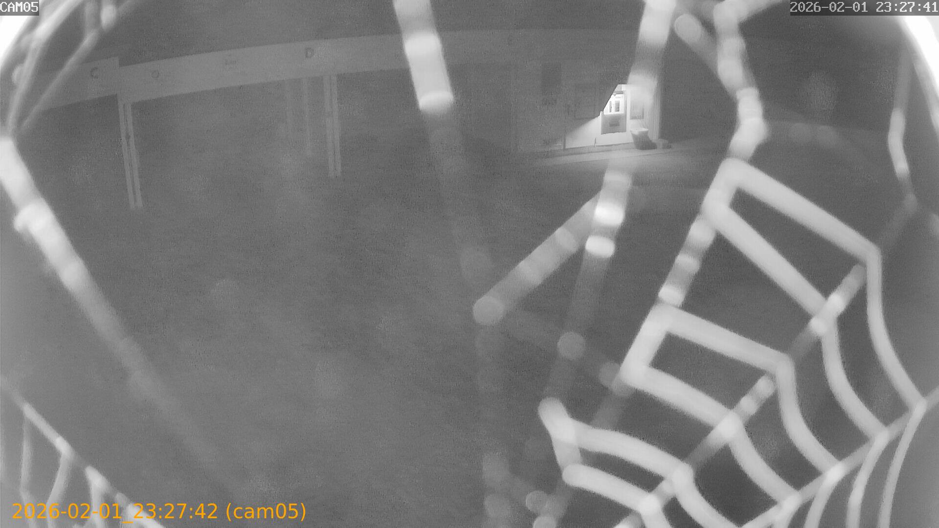 thumbnail_20260201232742