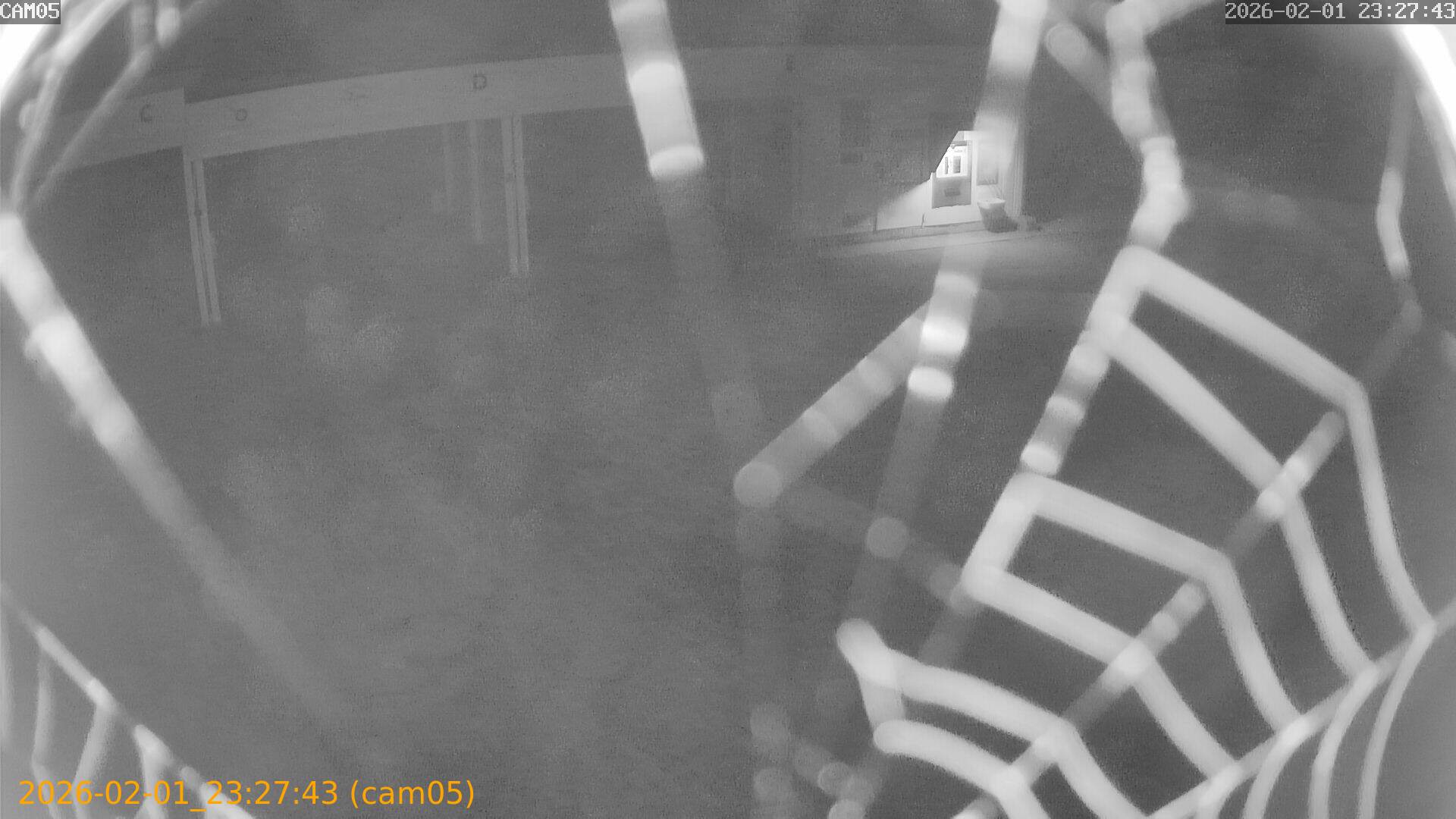 thumbnail_20260201232743