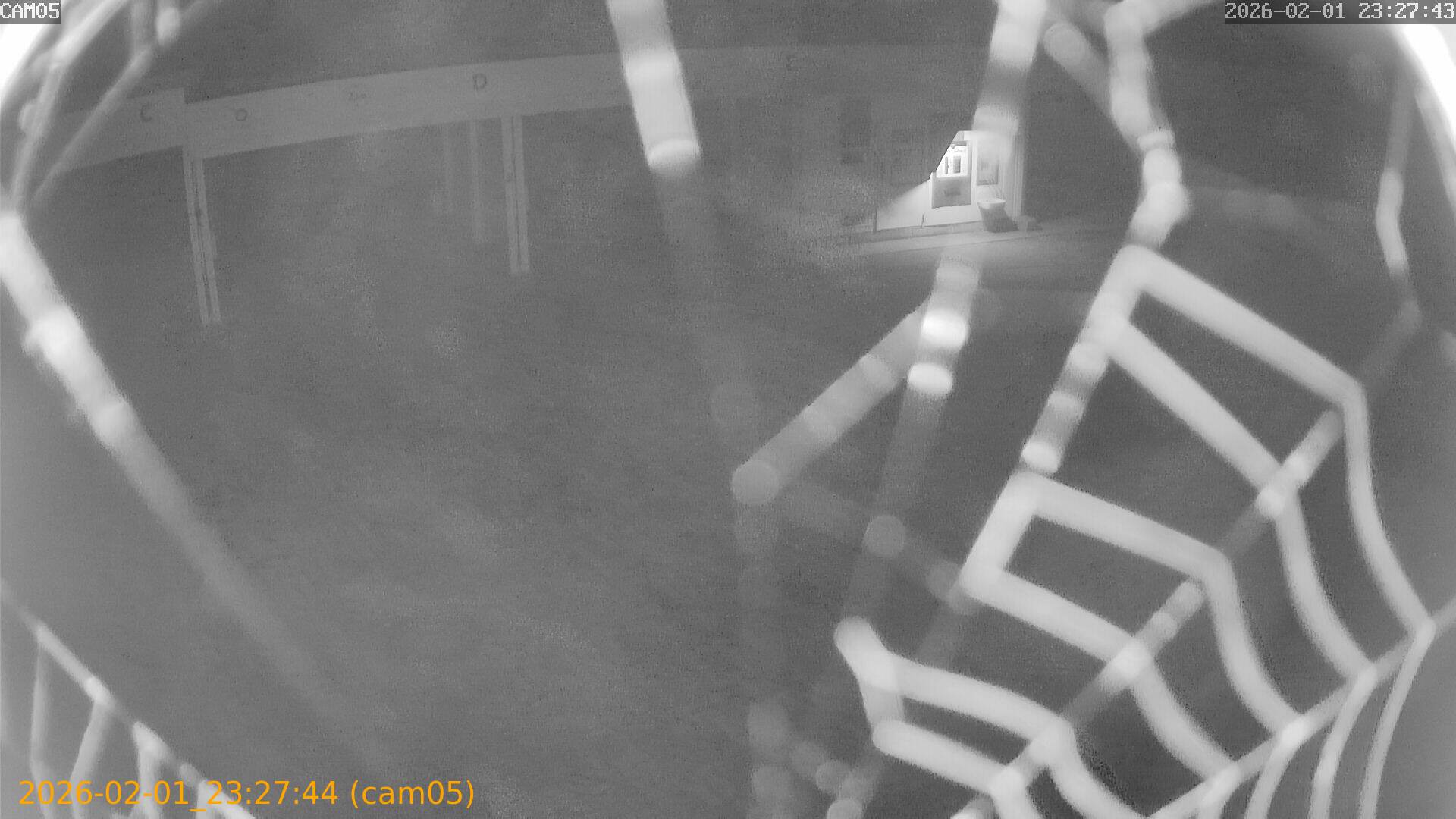 thumbnail_20260201232744