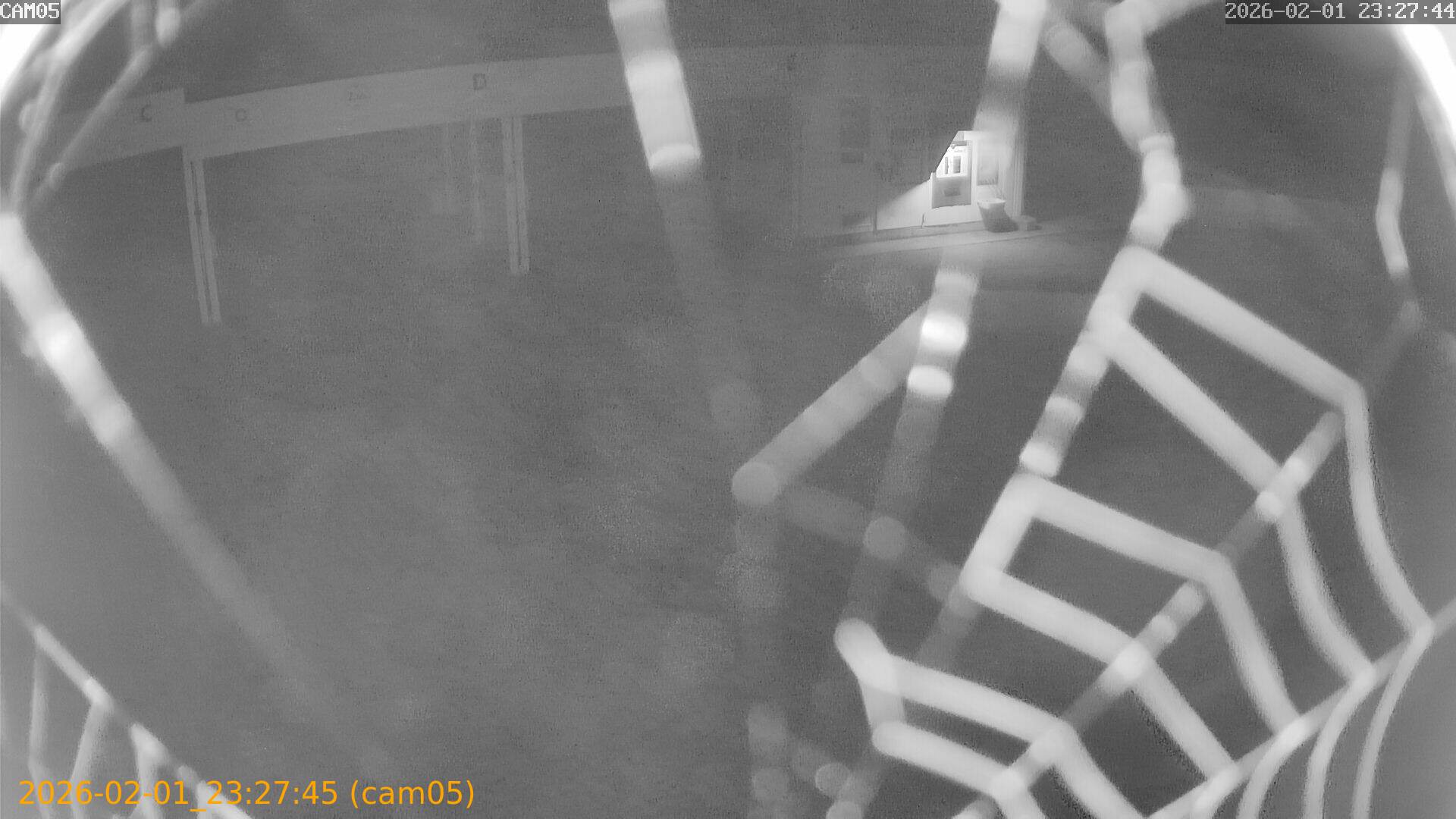 thumbnail_20260201232745