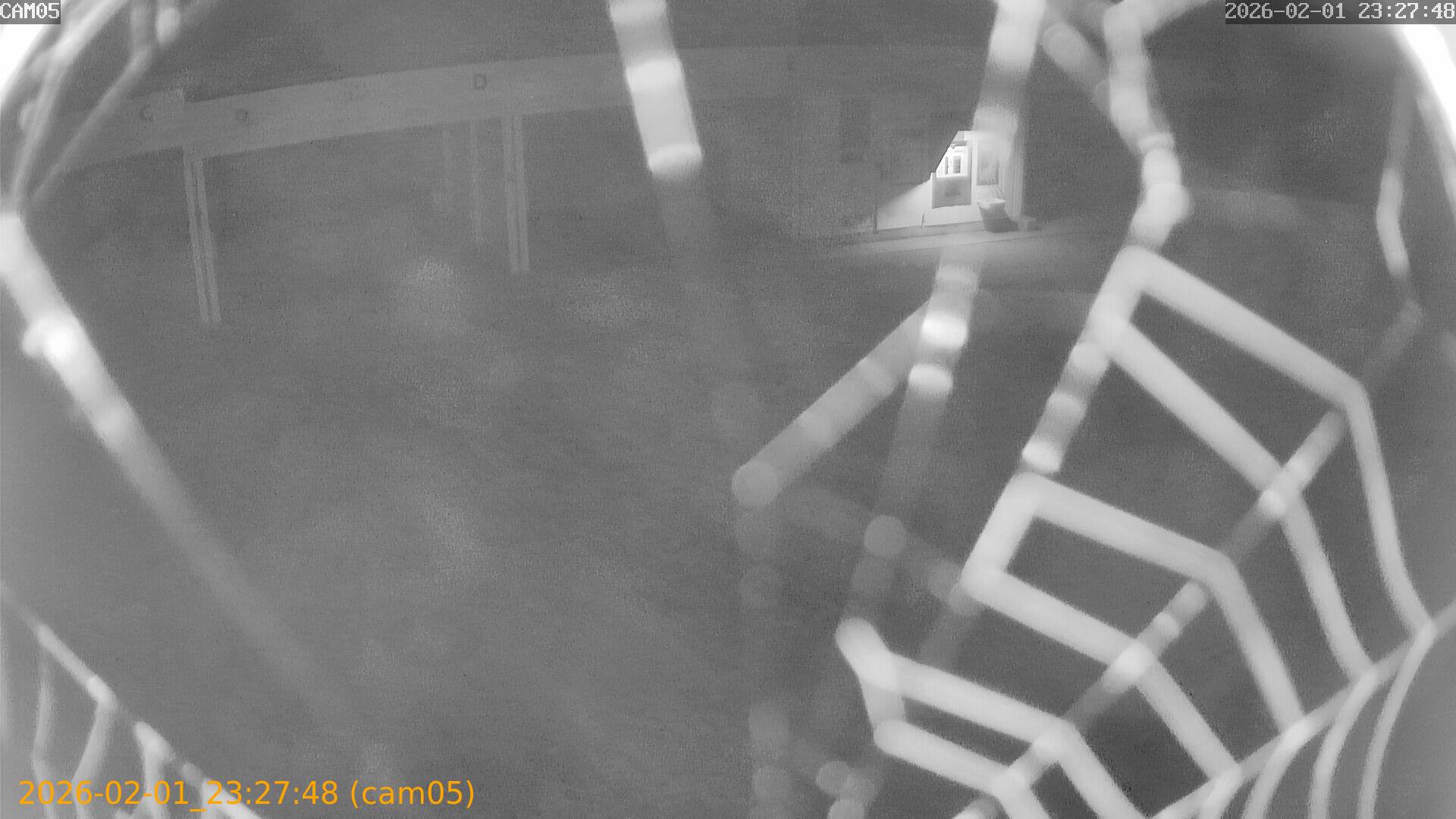 thumbnail_20260201232748