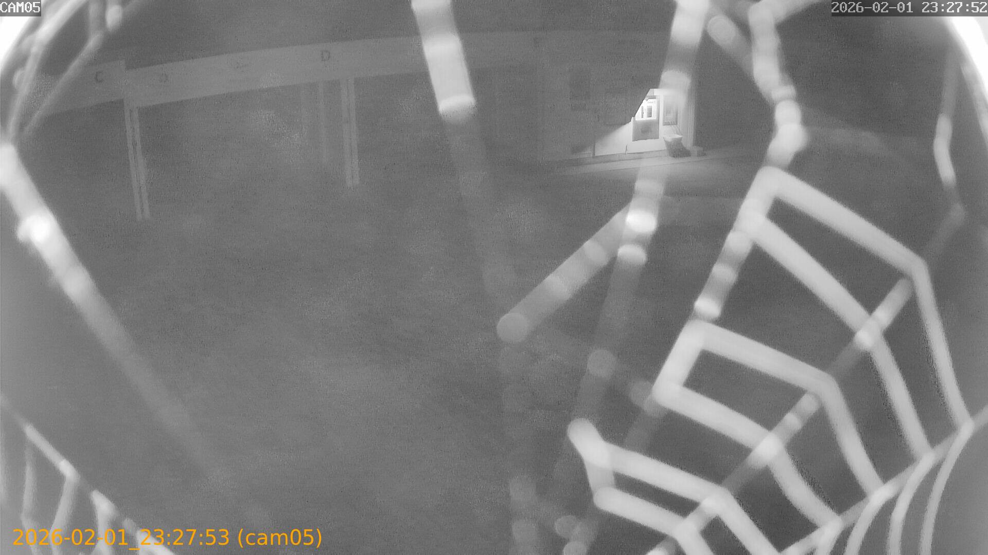 thumbnail_20260201232753