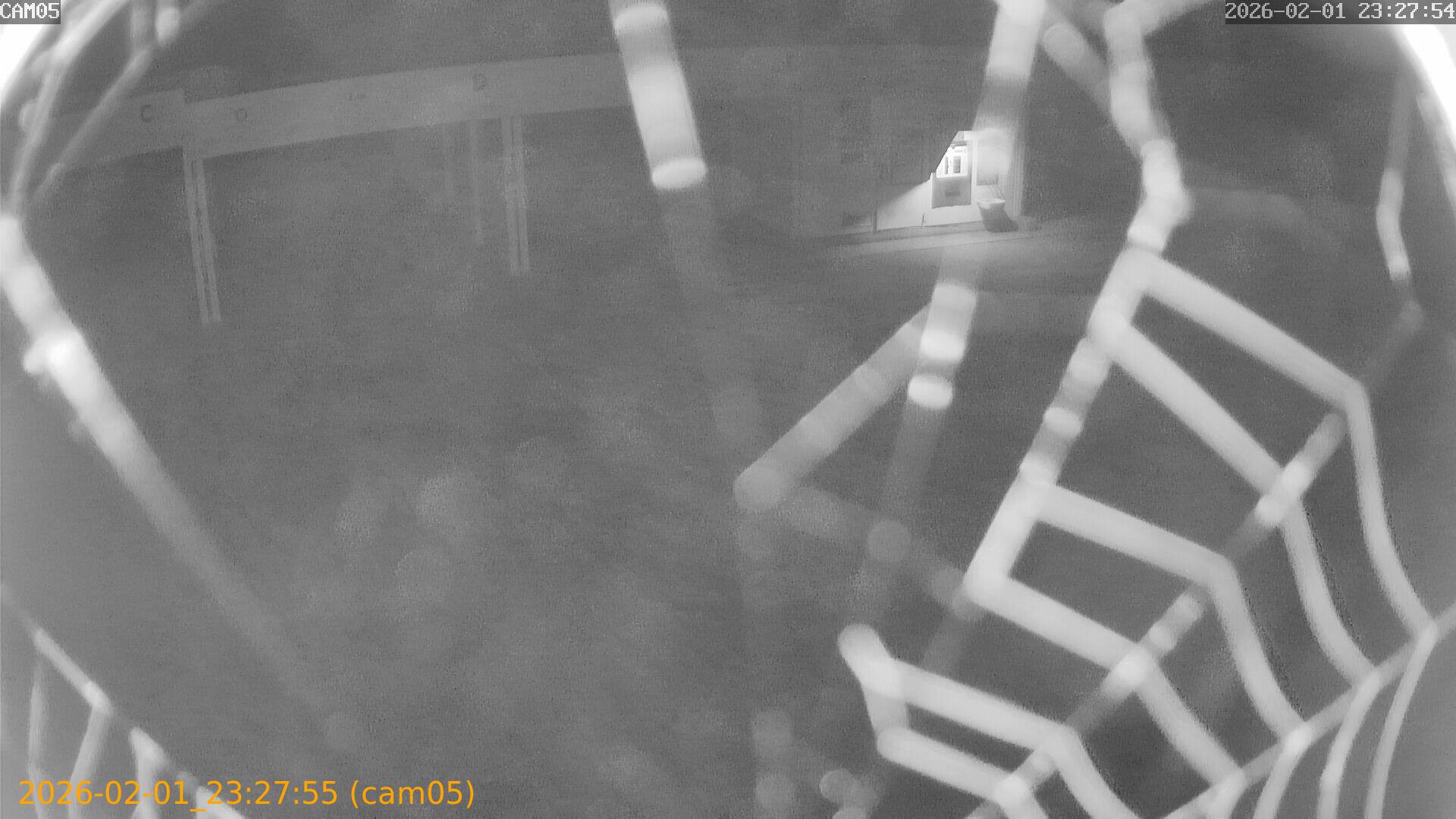 thumbnail_20260201232755