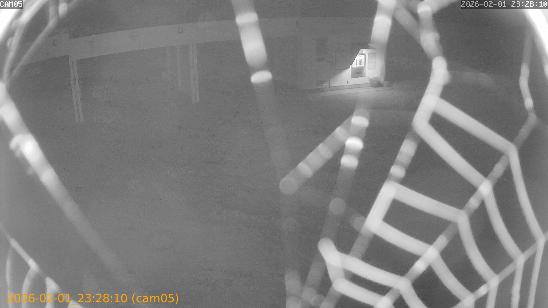 thumbnail_20260201232810