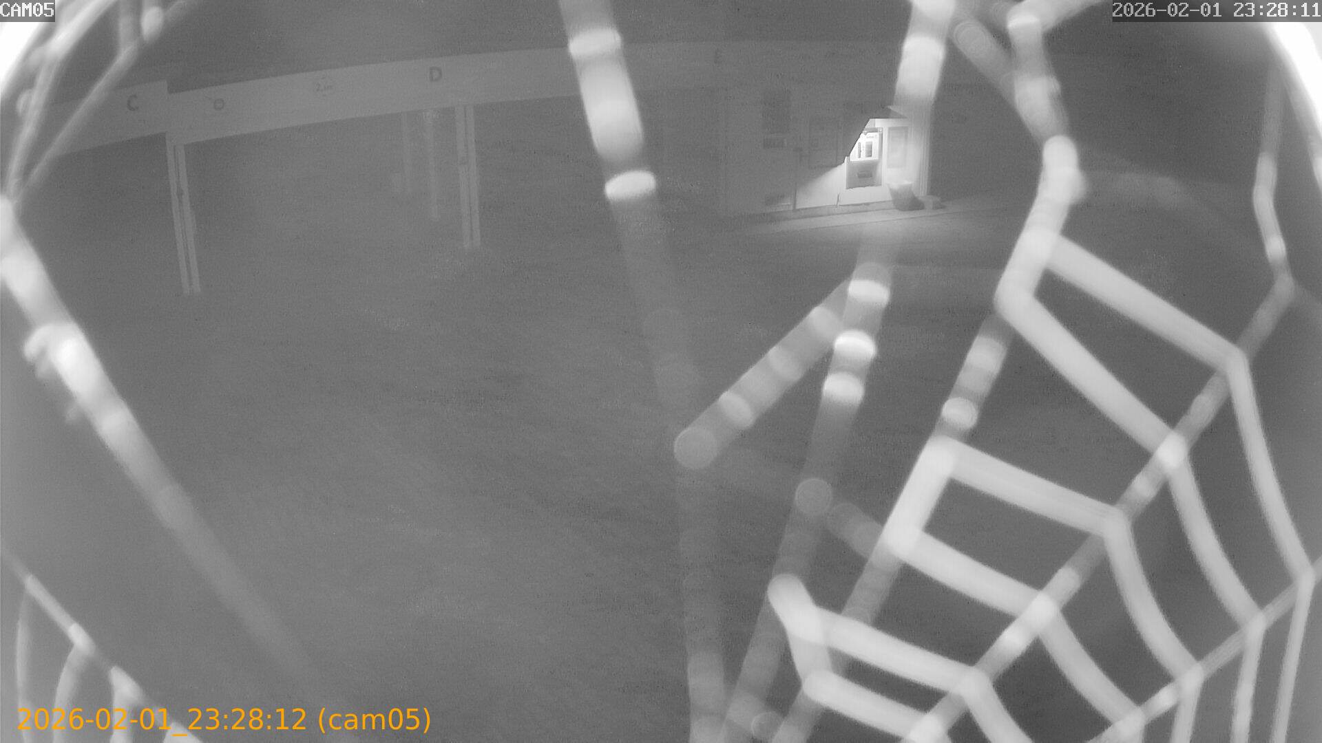 thumbnail_20260201232812