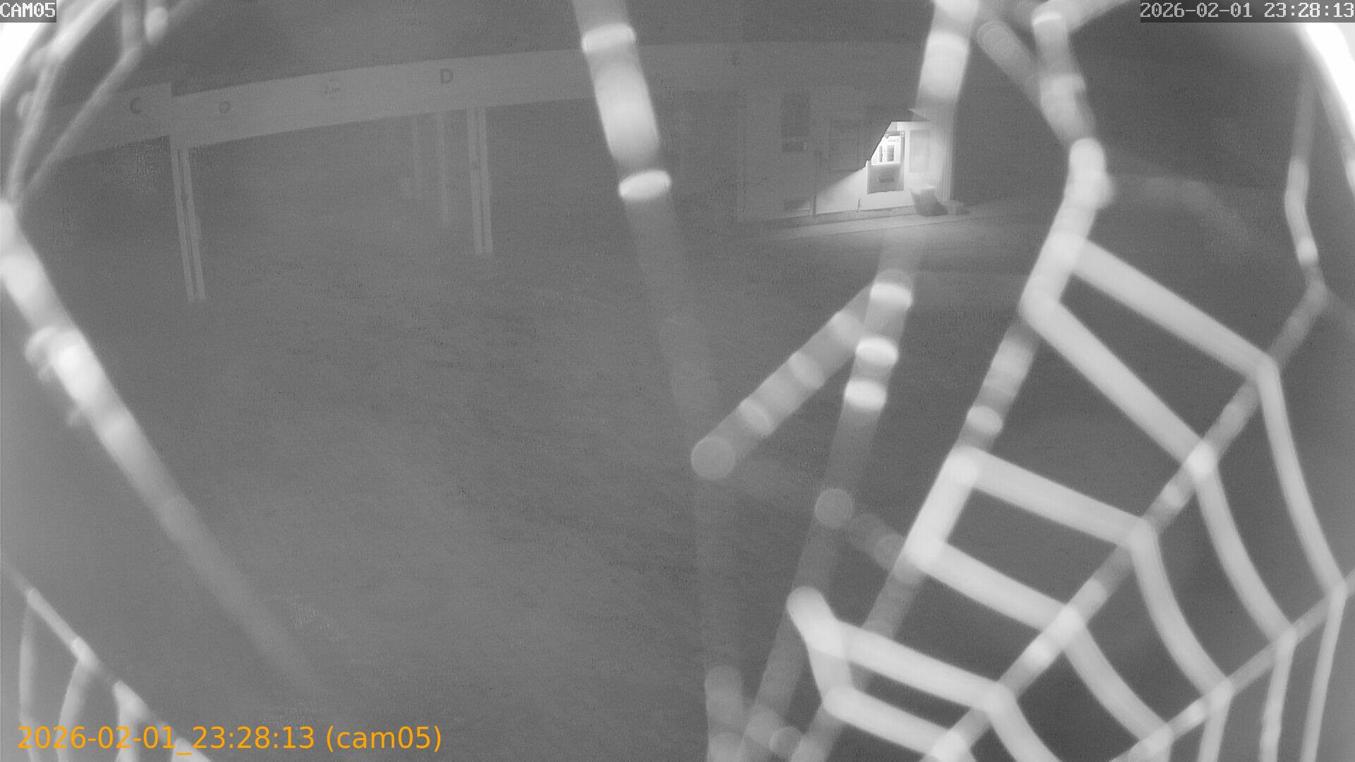 thumbnail_20260201232813