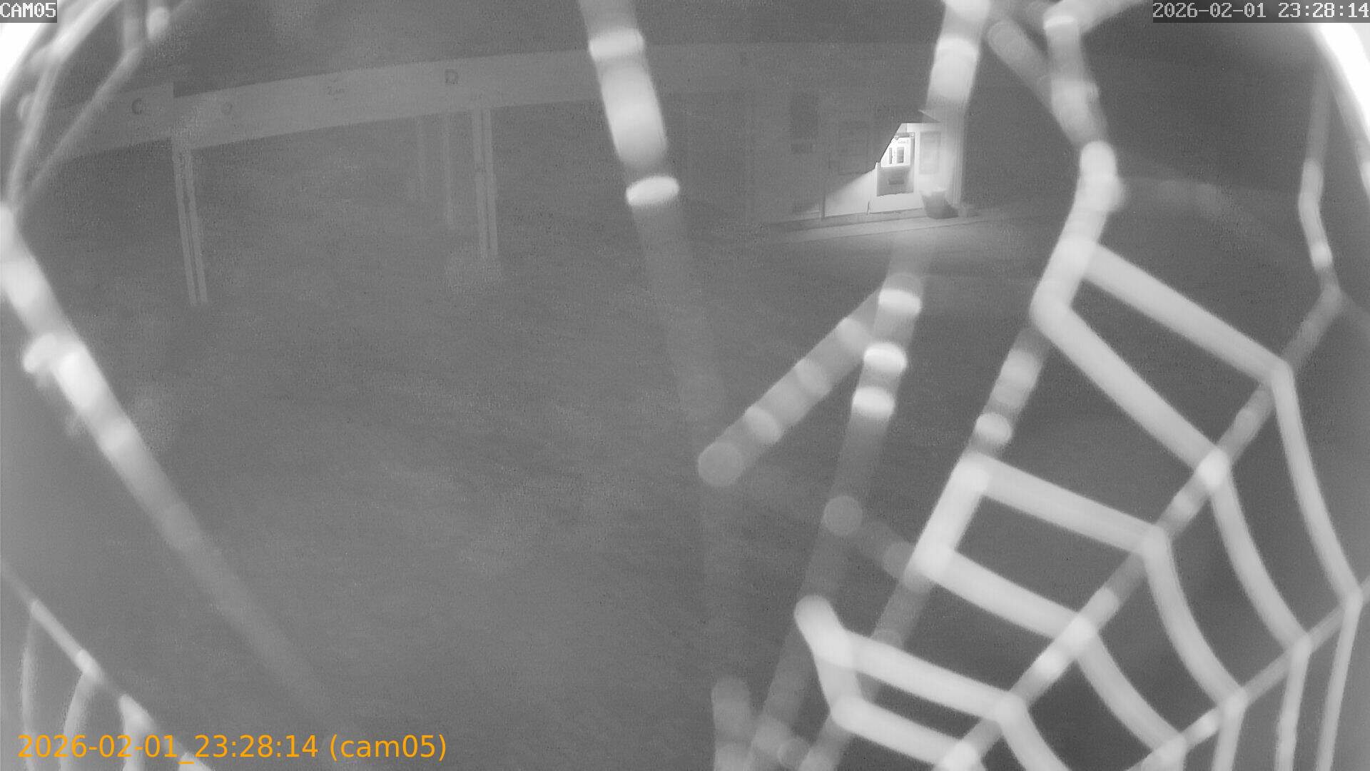 thumbnail_20260201232814