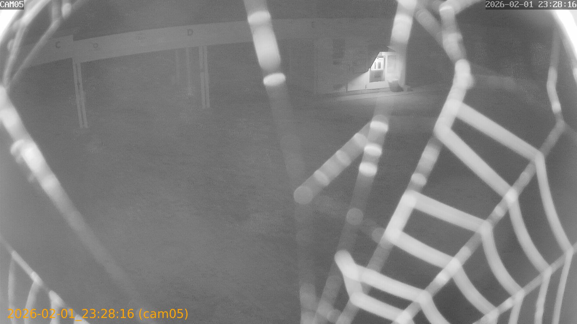 thumbnail_20260201232816