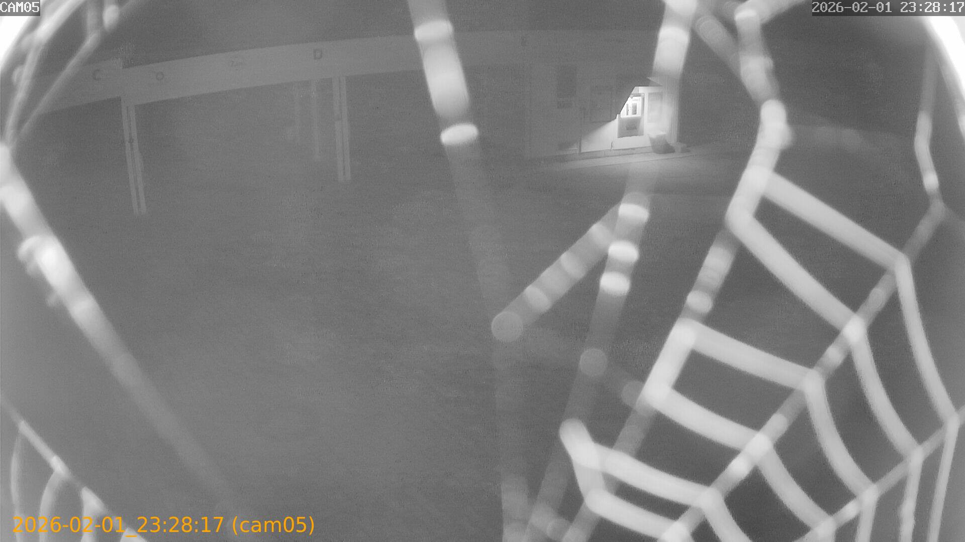 thumbnail_20260201232817