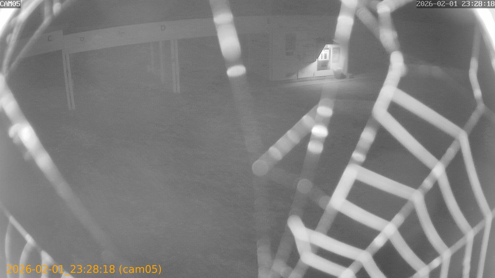 thumbnail_20260201232818