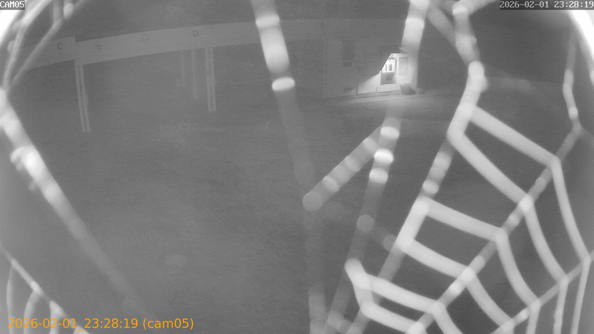 thumbnail_20260201232819