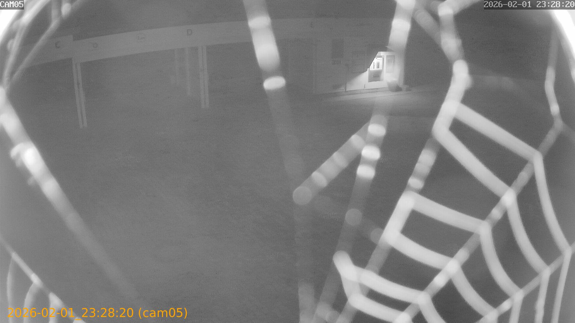 thumbnail_20260201232820