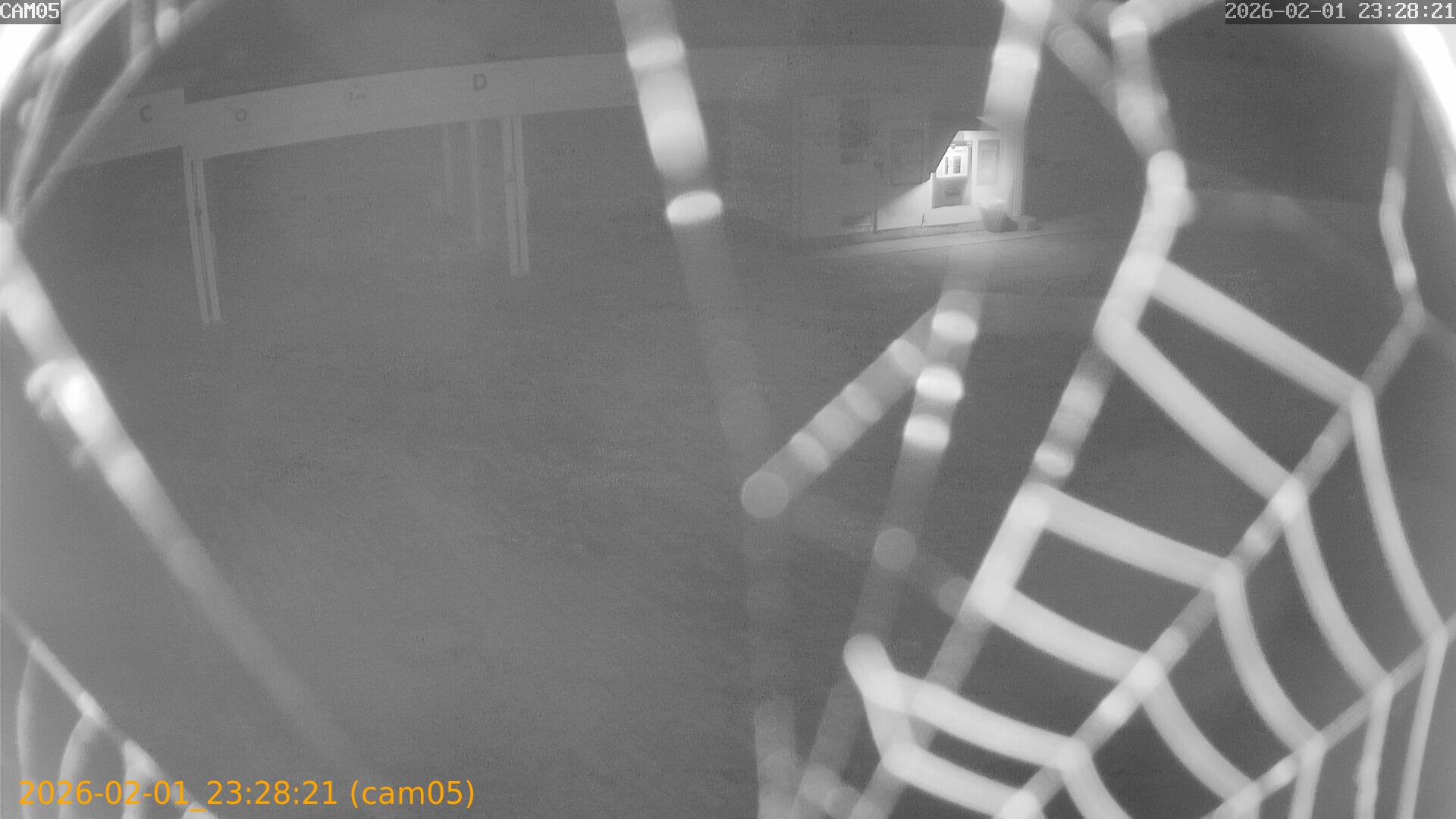 thumbnail_20260201232821