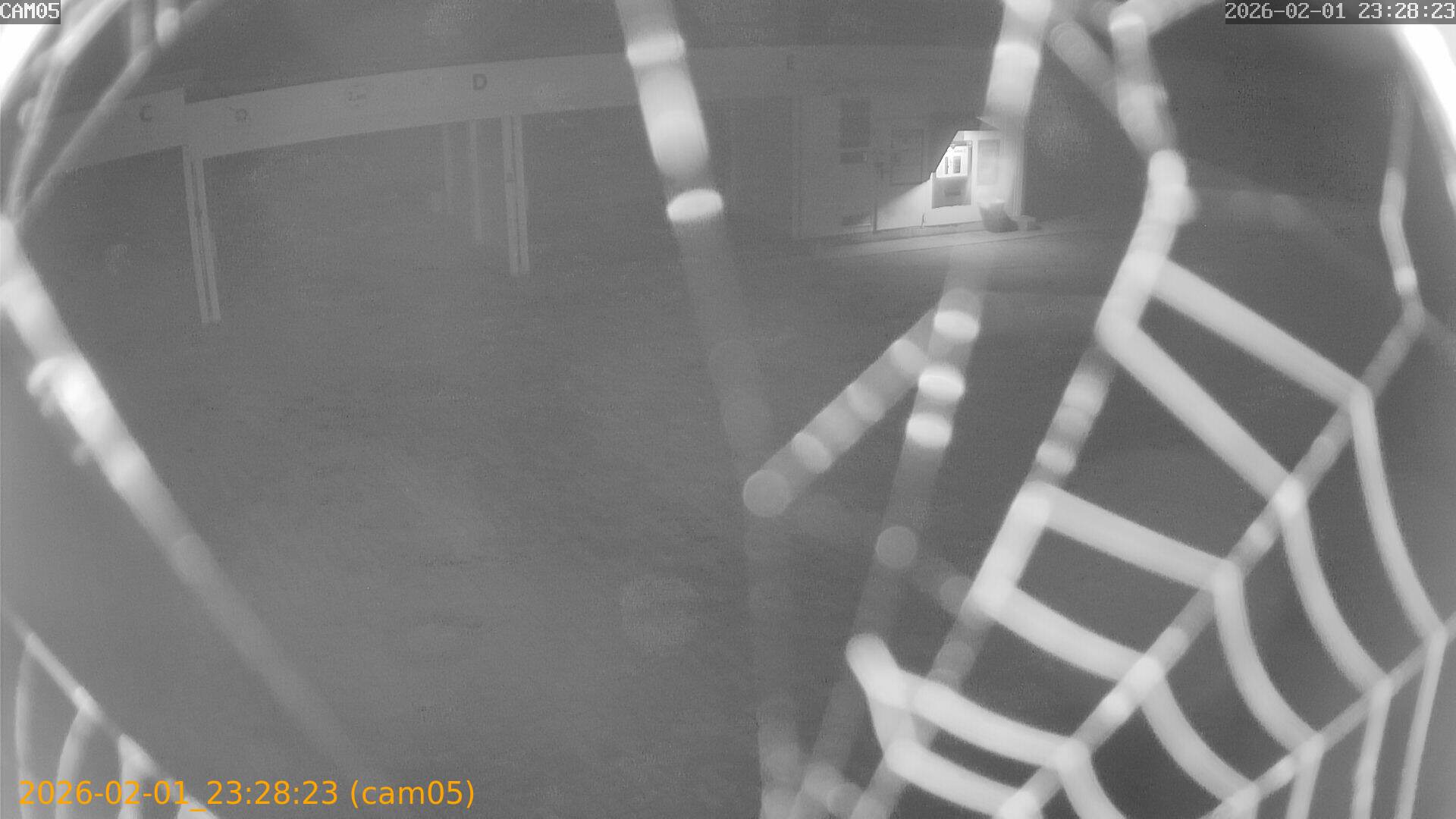 thumbnail_20260201232823