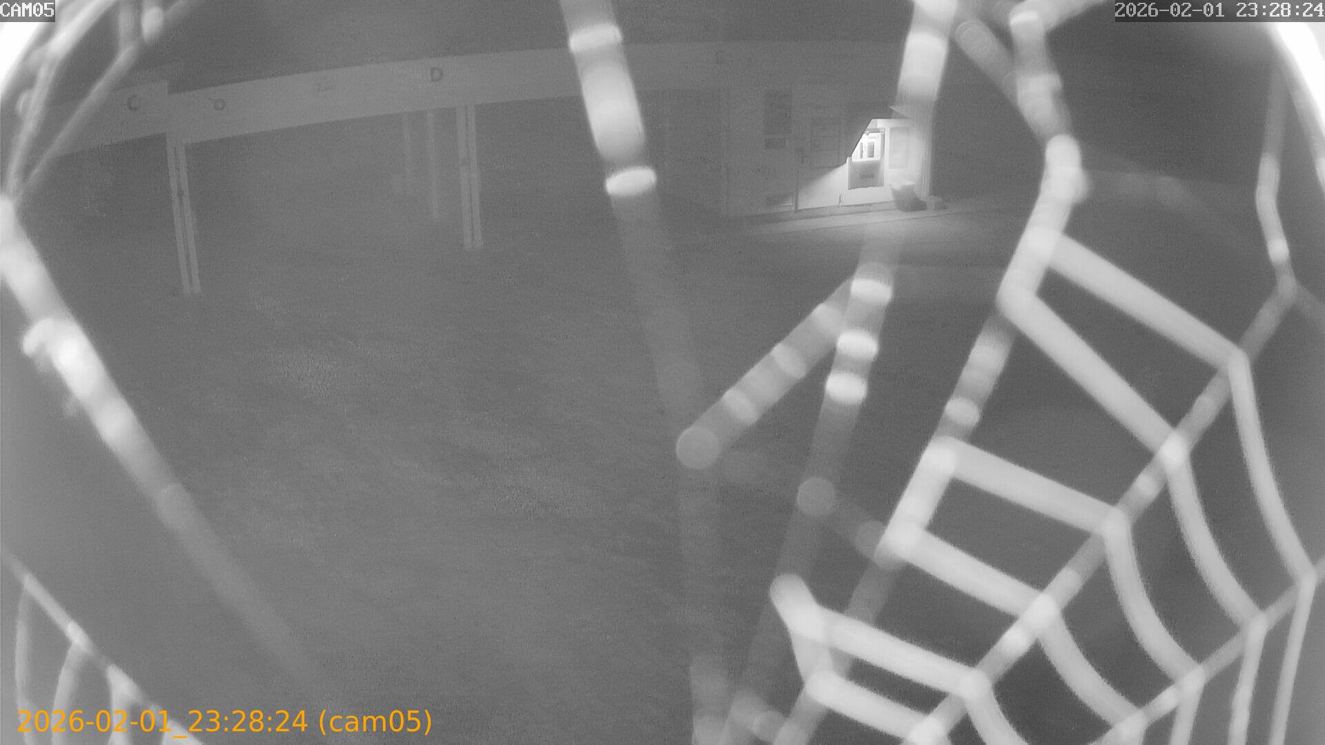 thumbnail_20260201232824