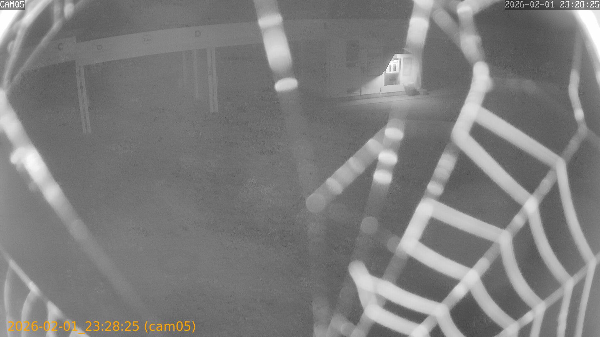 thumbnail_20260201232825