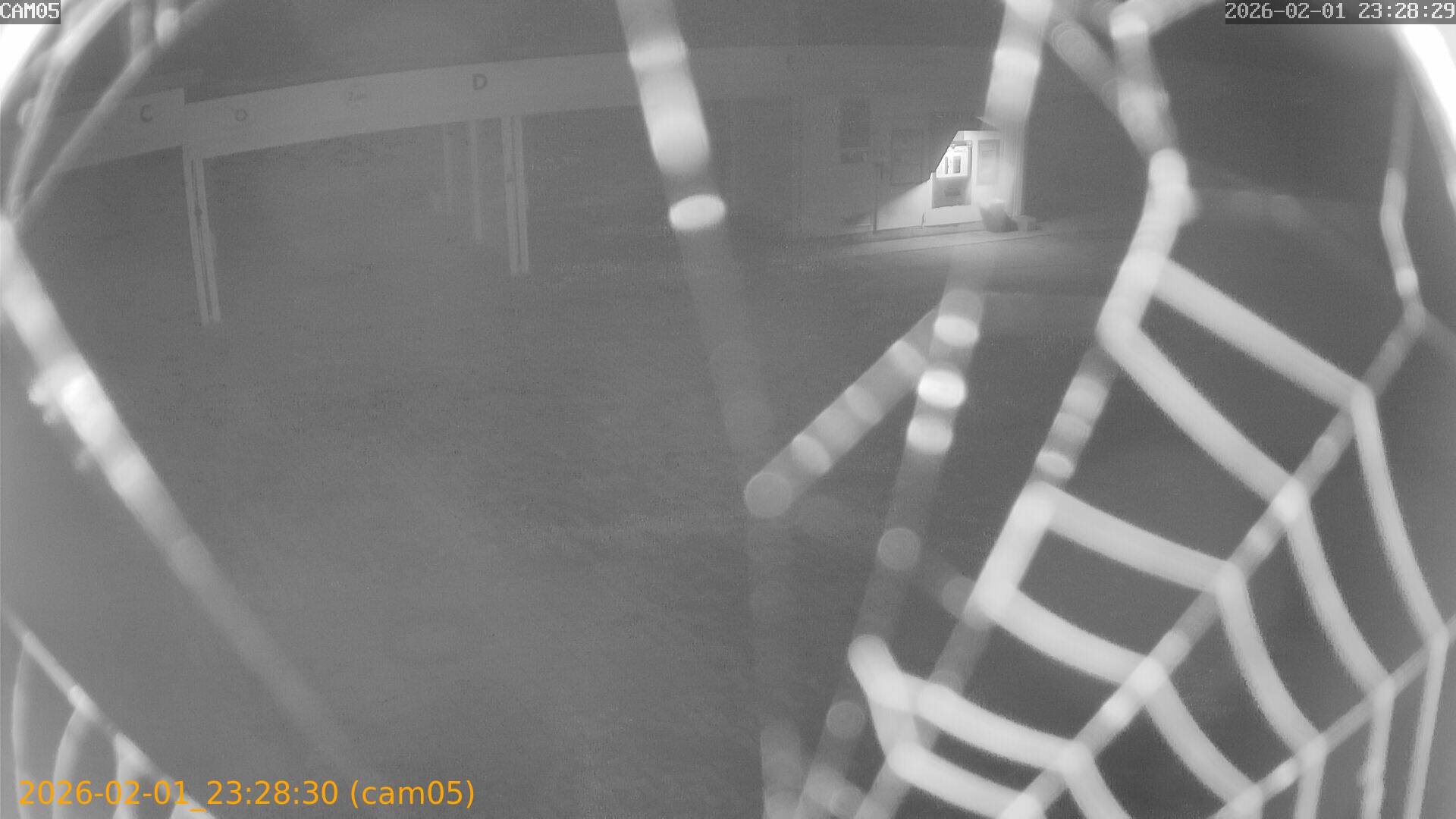 thumbnail_20260201232830