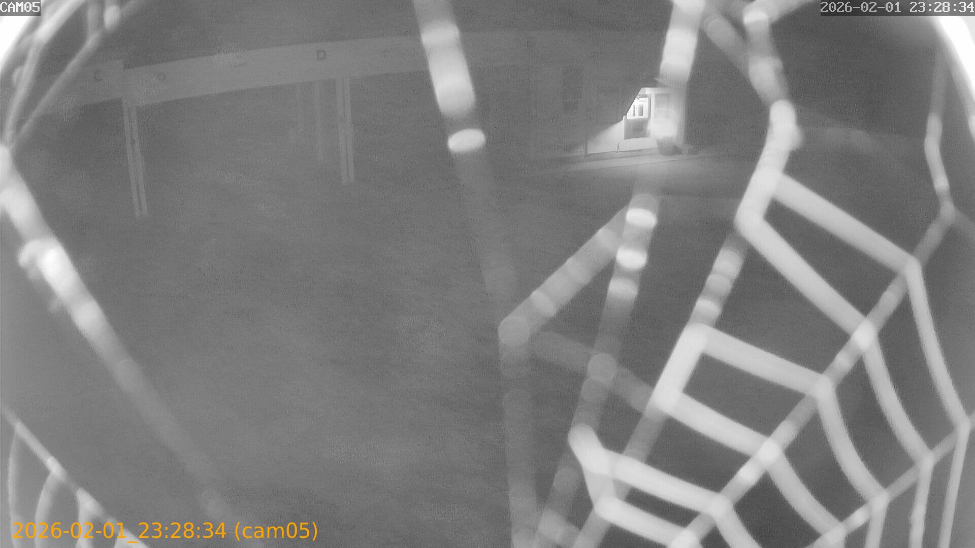 thumbnail_20260201232834