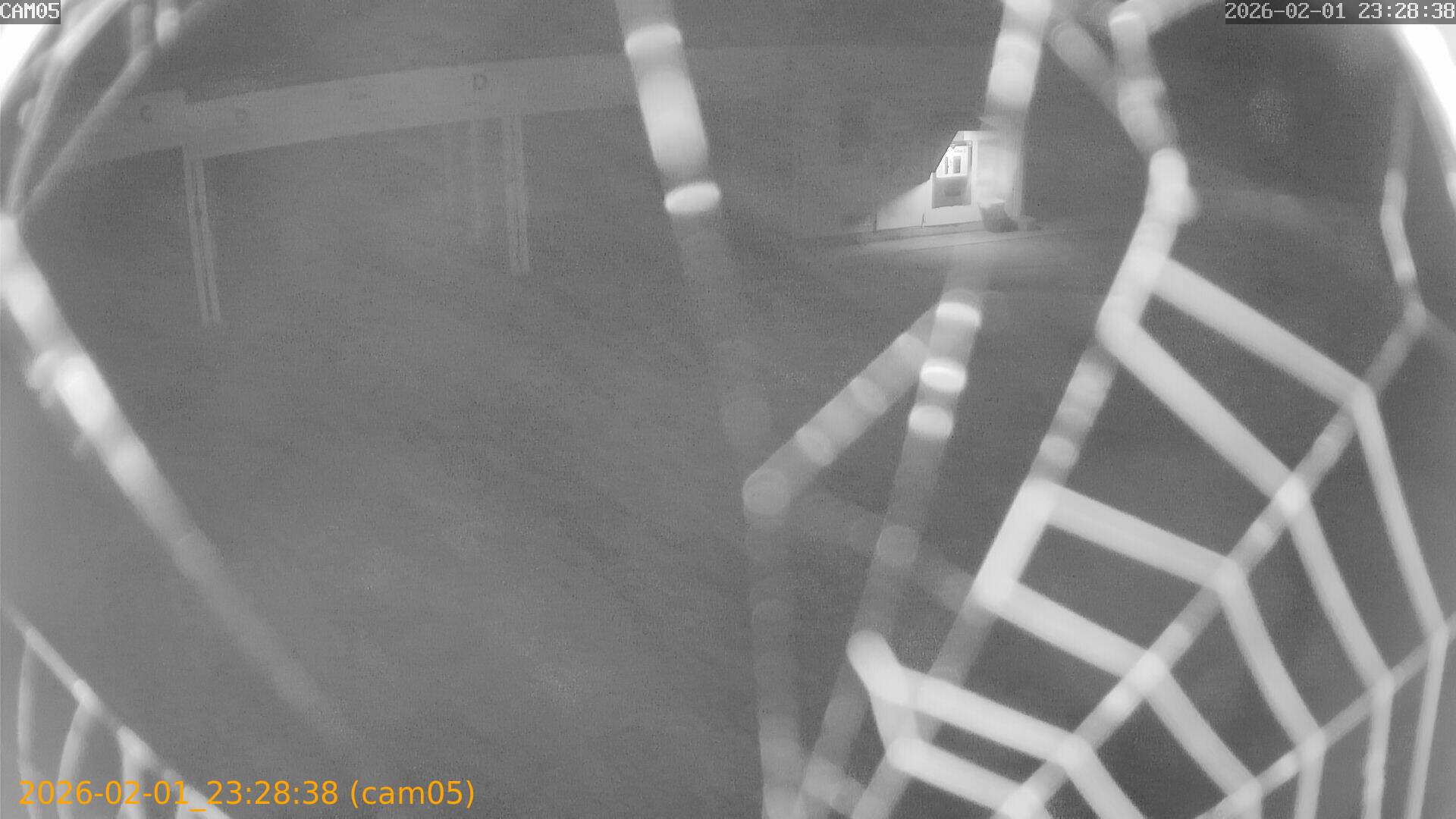 thumbnail_20260201232838