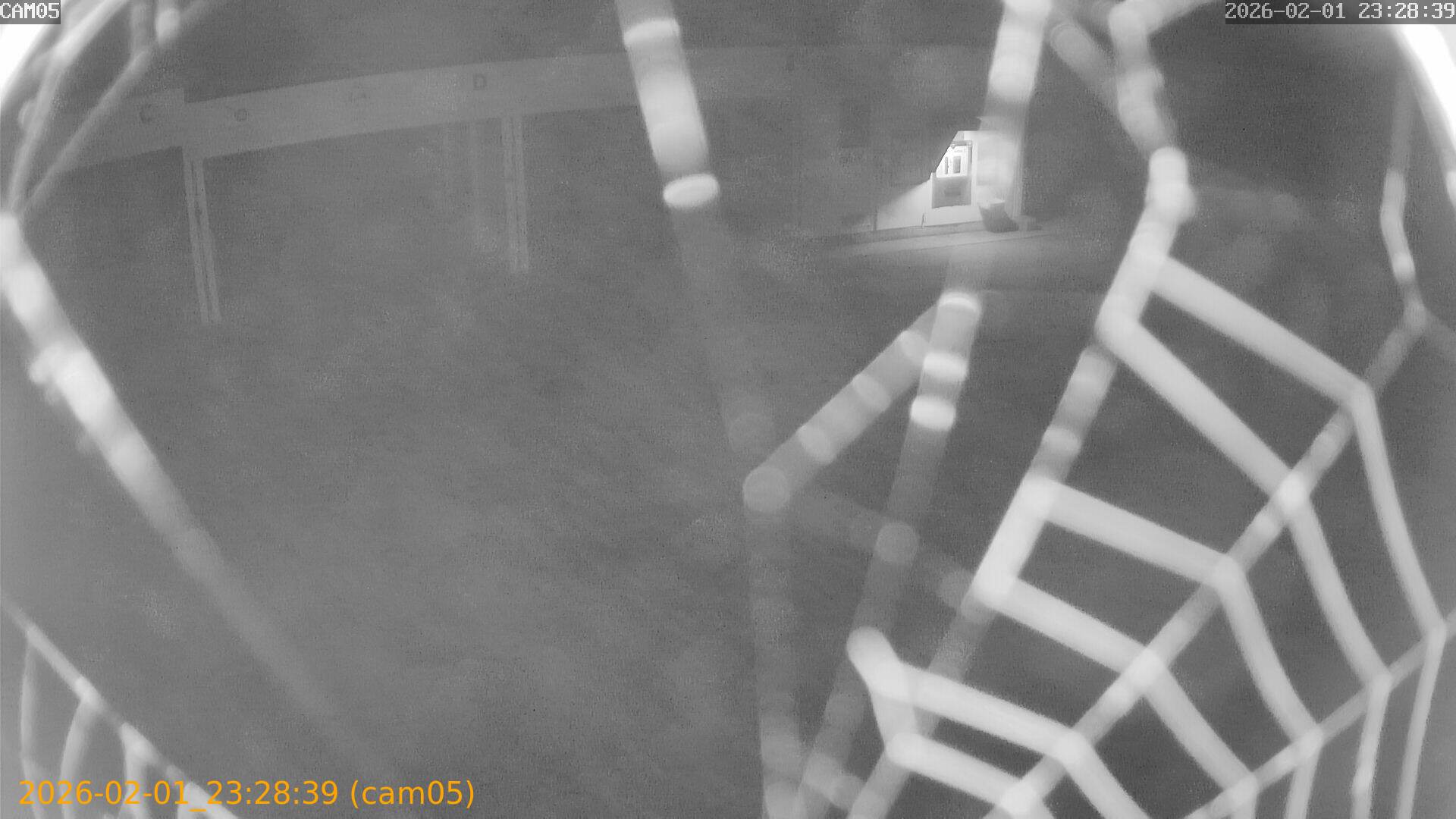 thumbnail_20260201232839