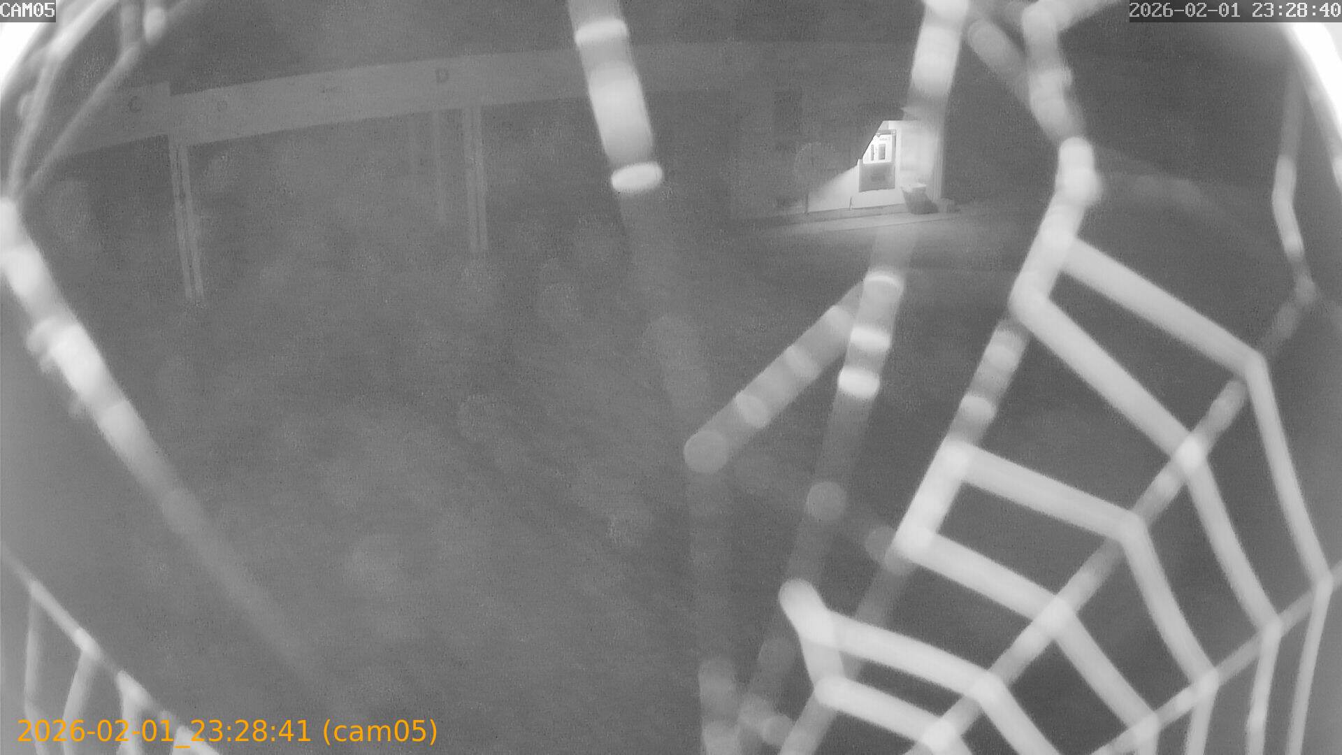 thumbnail_20260201232840