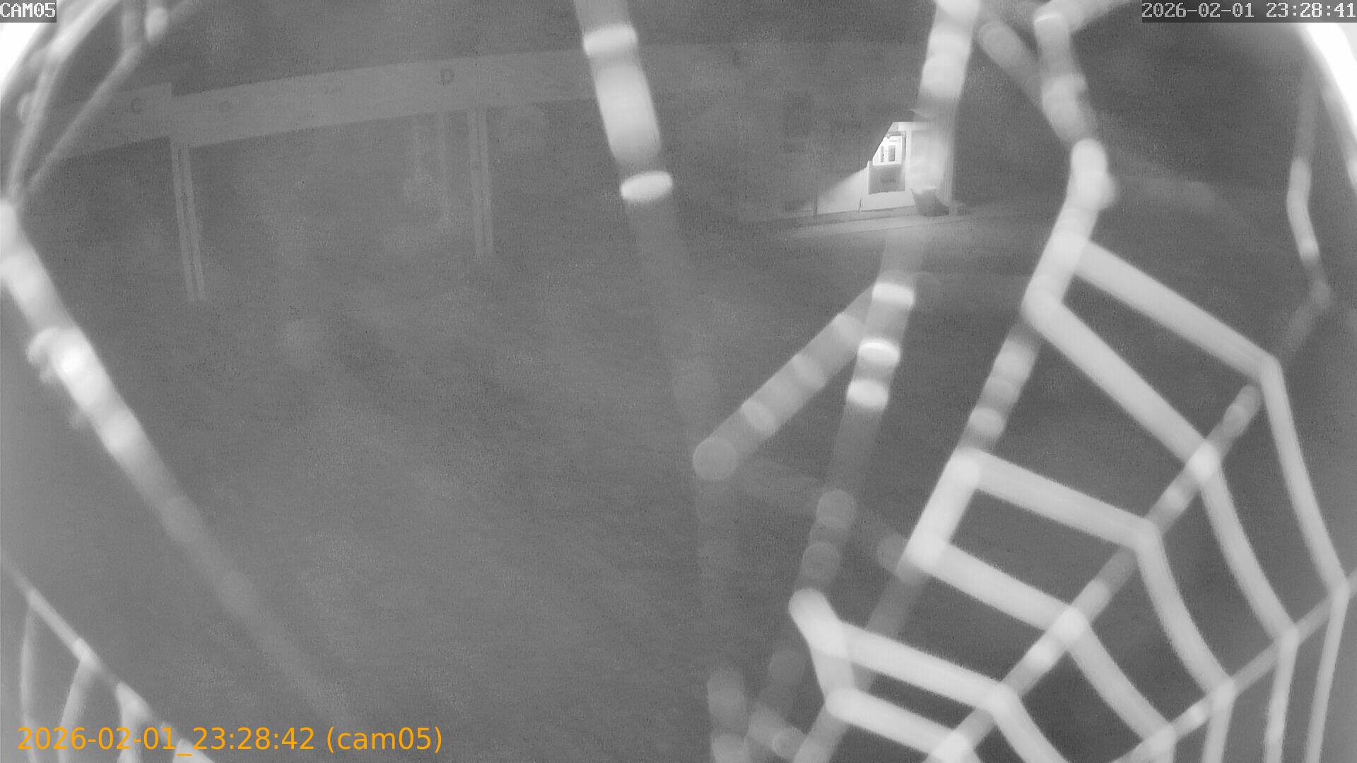 thumbnail_20260201232841