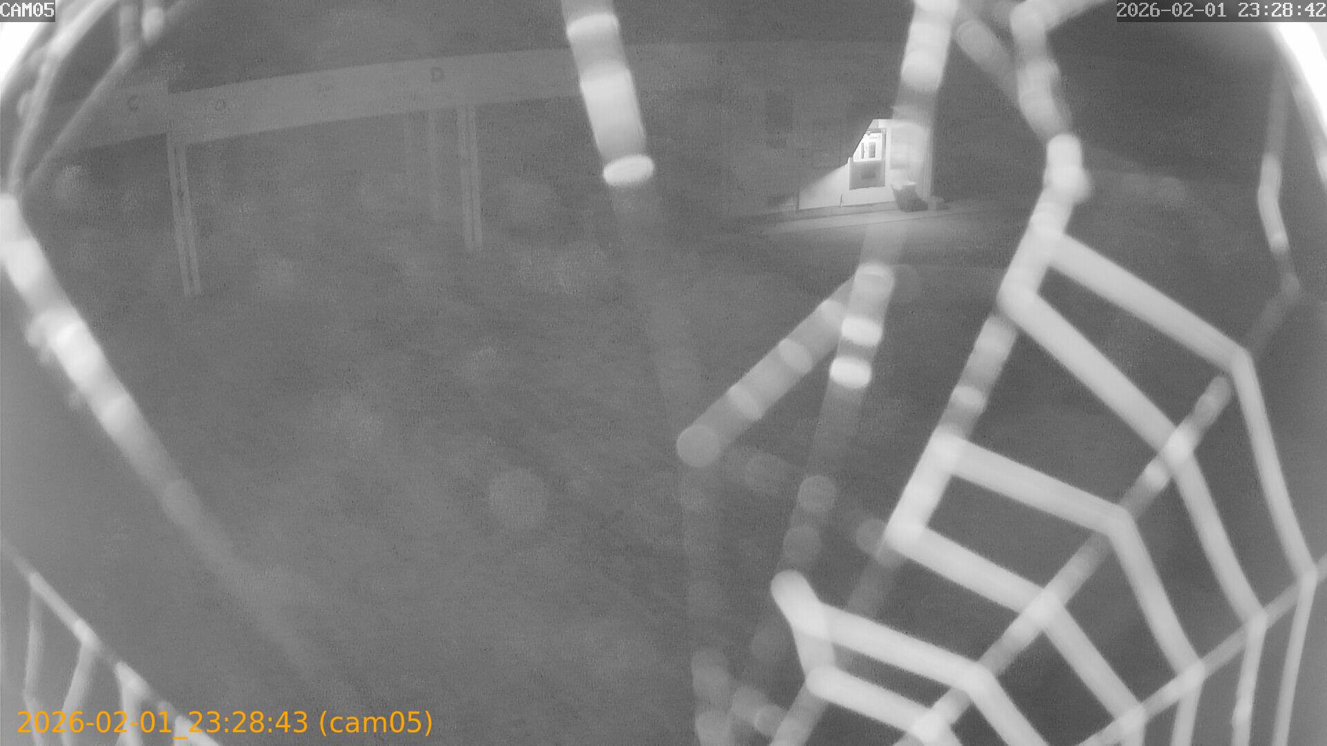 thumbnail_20260201232842