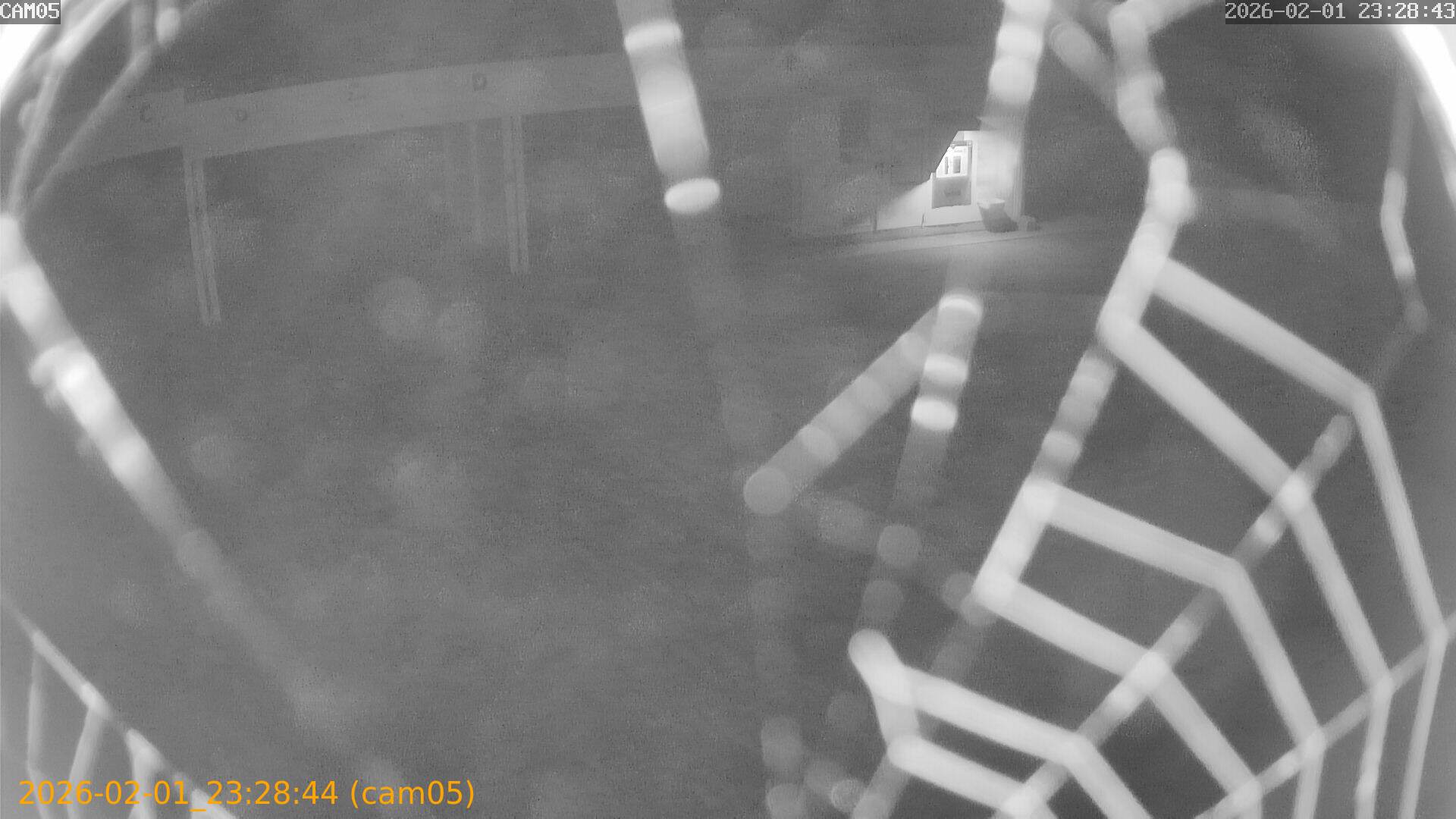 thumbnail_20260201232843