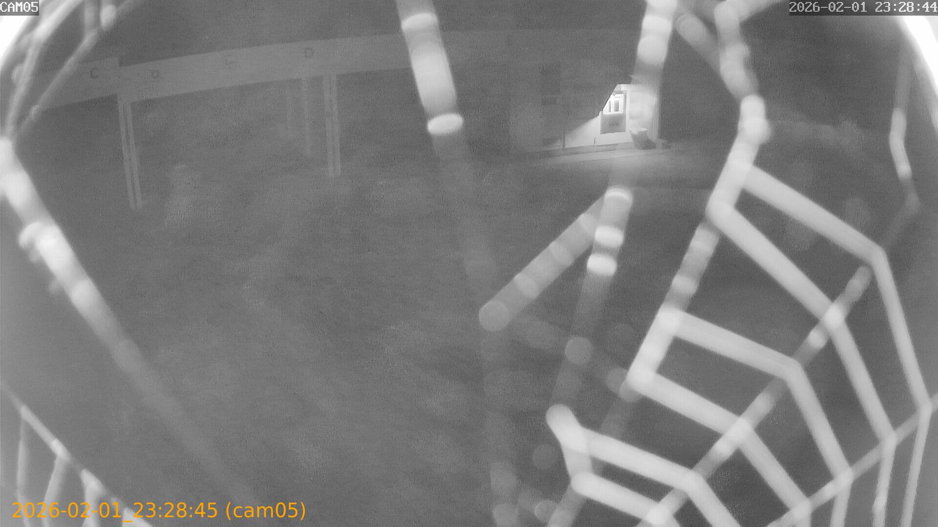 thumbnail_20260201232845