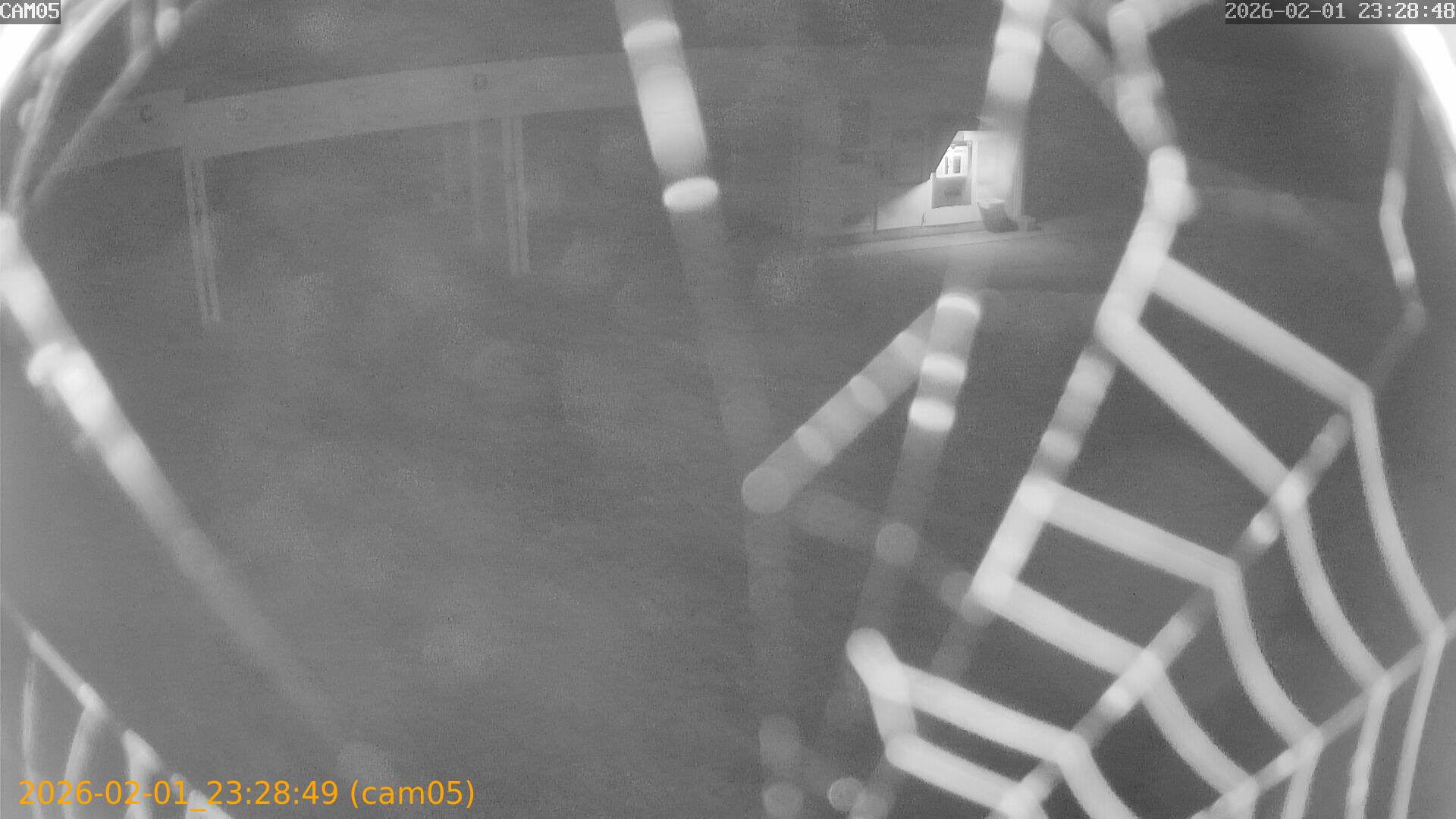 thumbnail_20260201232849