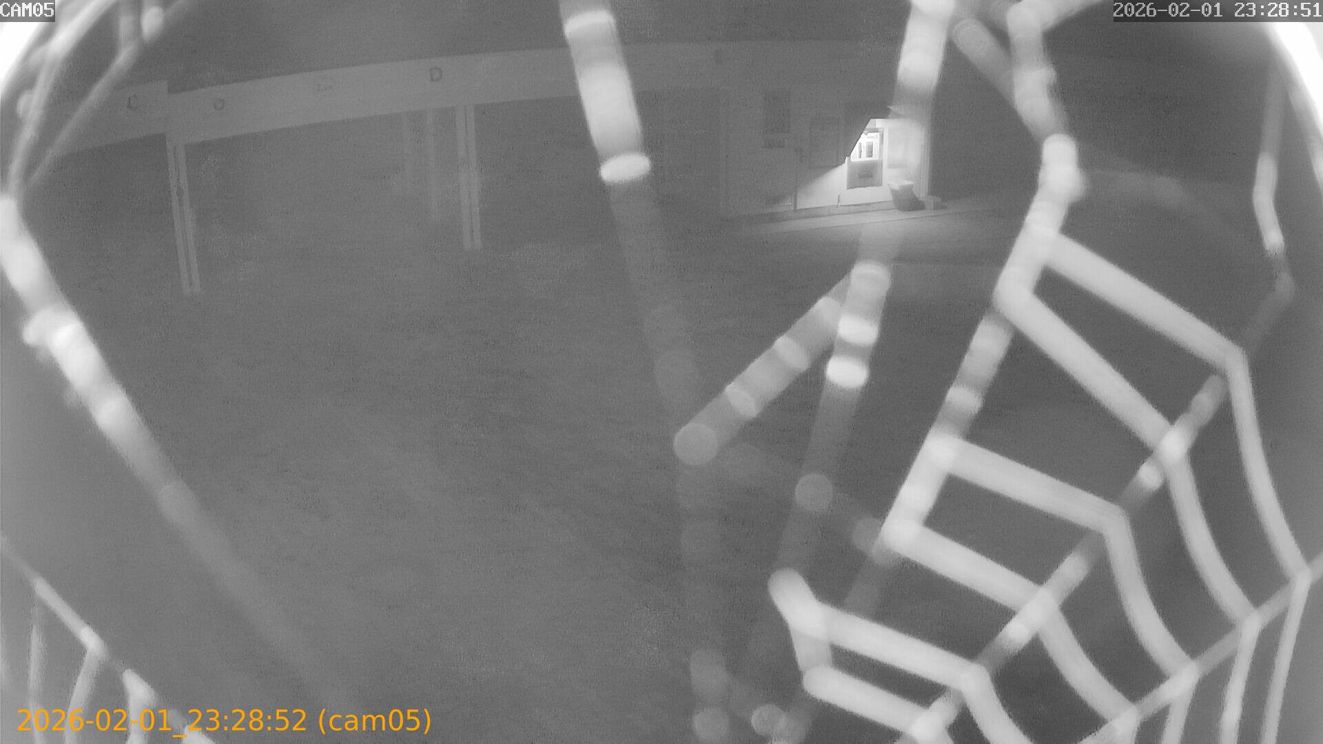 thumbnail_20260201232852