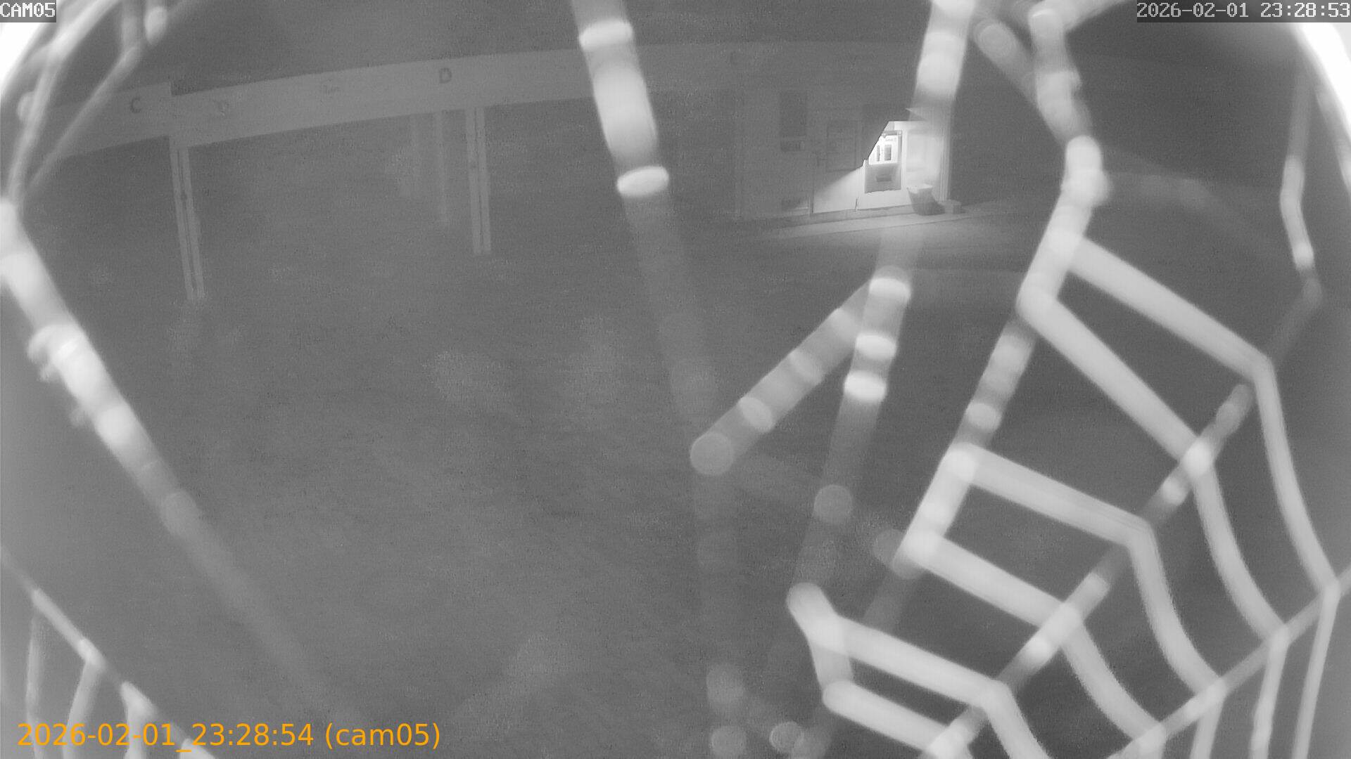 thumbnail_20260201232854