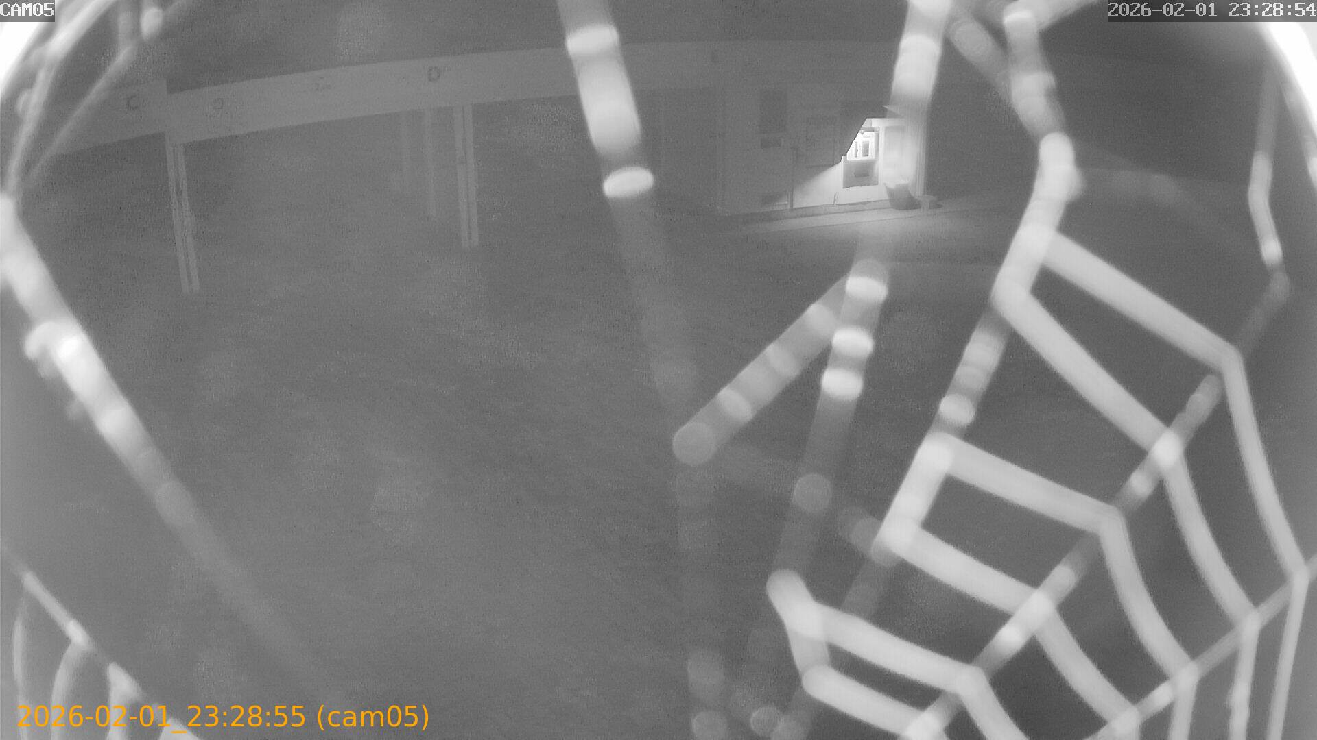 thumbnail_20260201232855