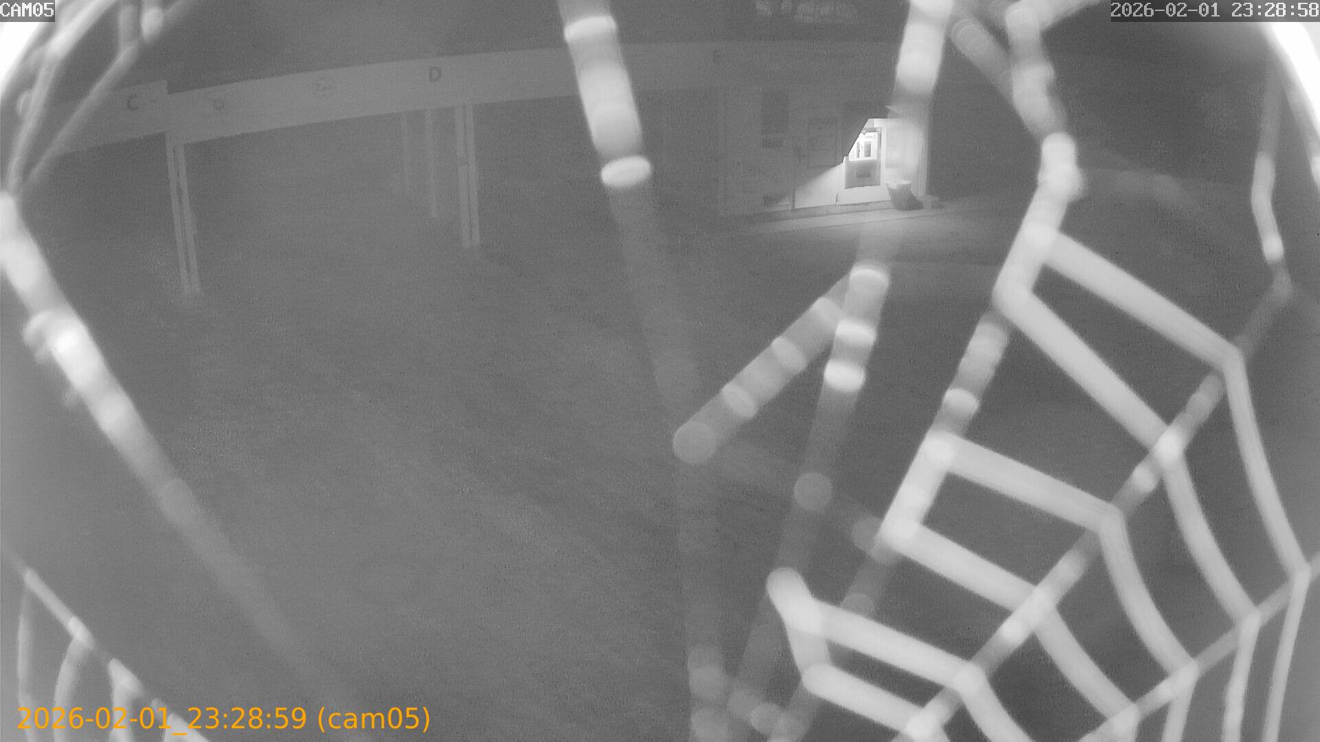 thumbnail_20260201232859