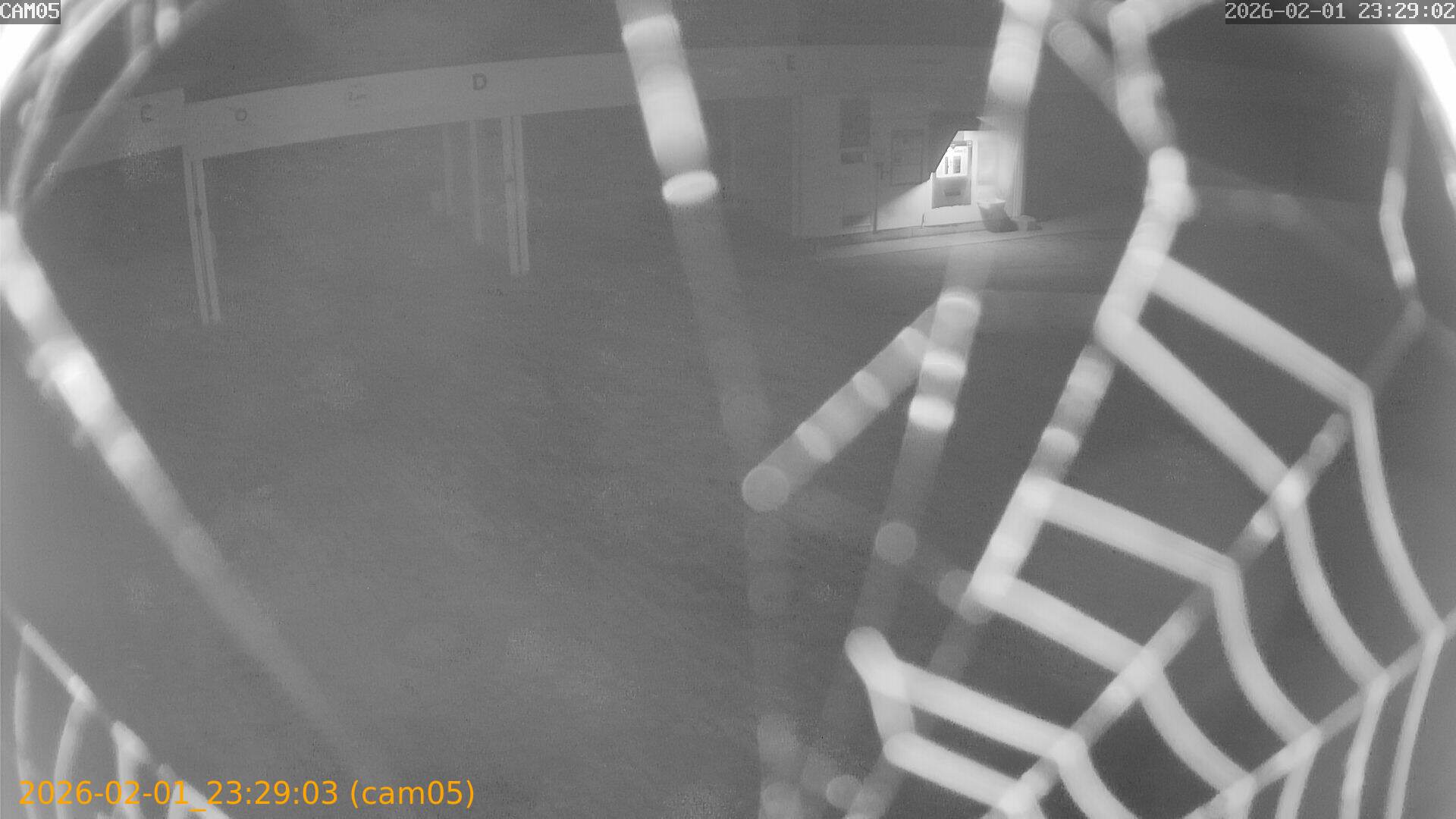 thumbnail_20260201232903