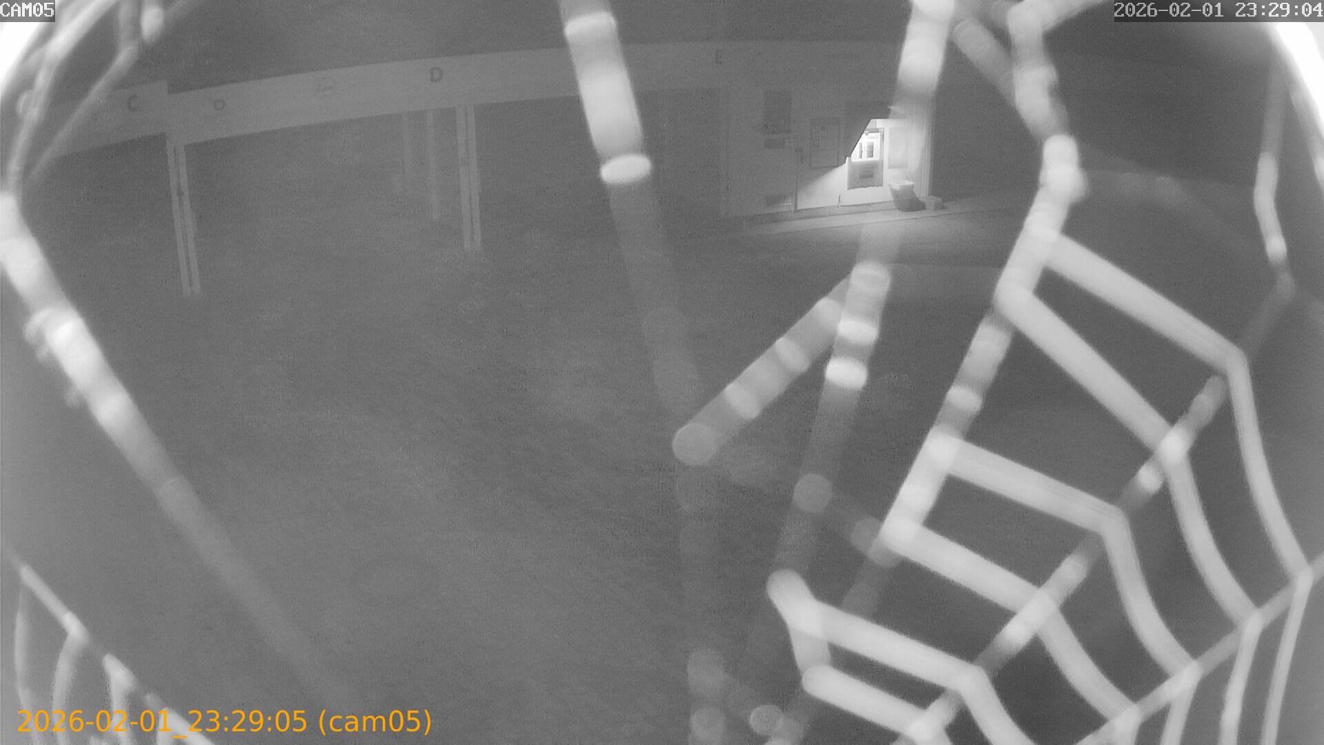 thumbnail_20260201232905