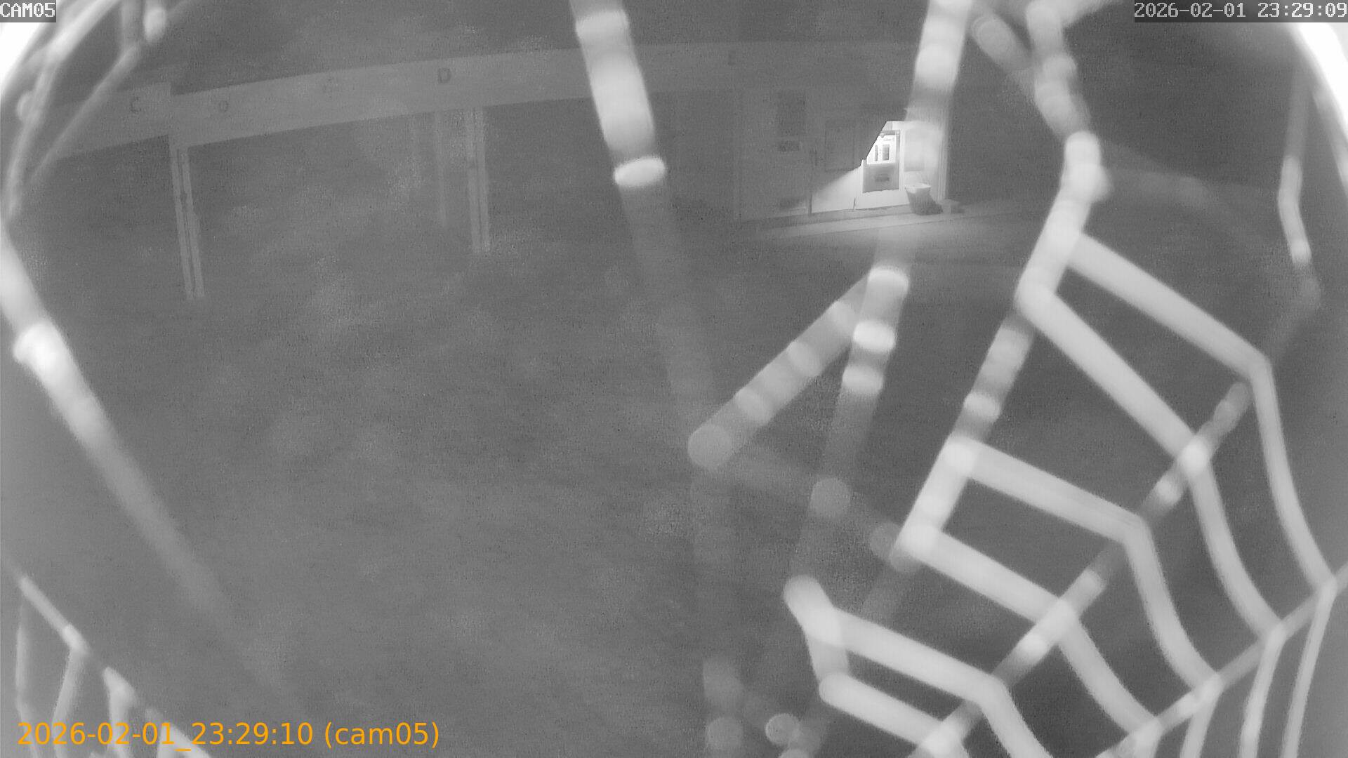 thumbnail_20260201232910