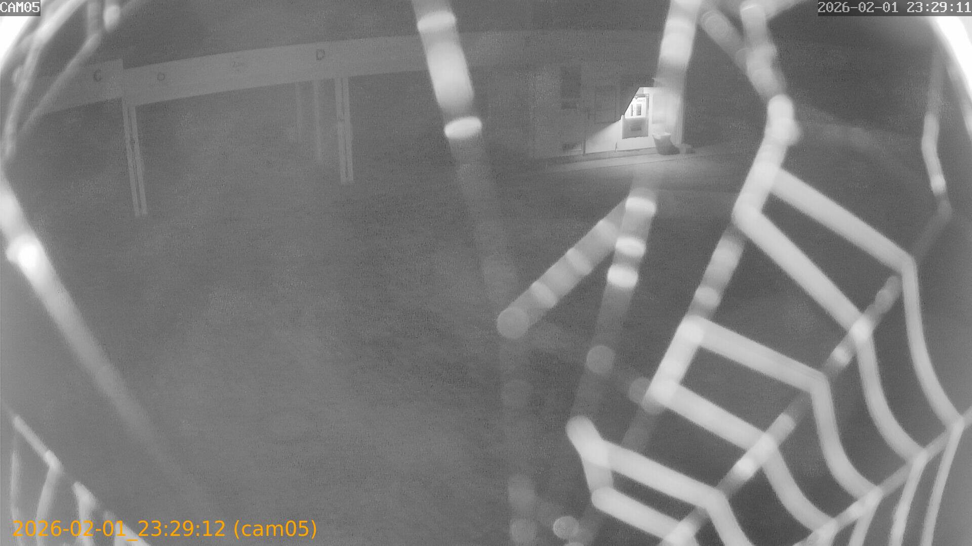 thumbnail_20260201232912