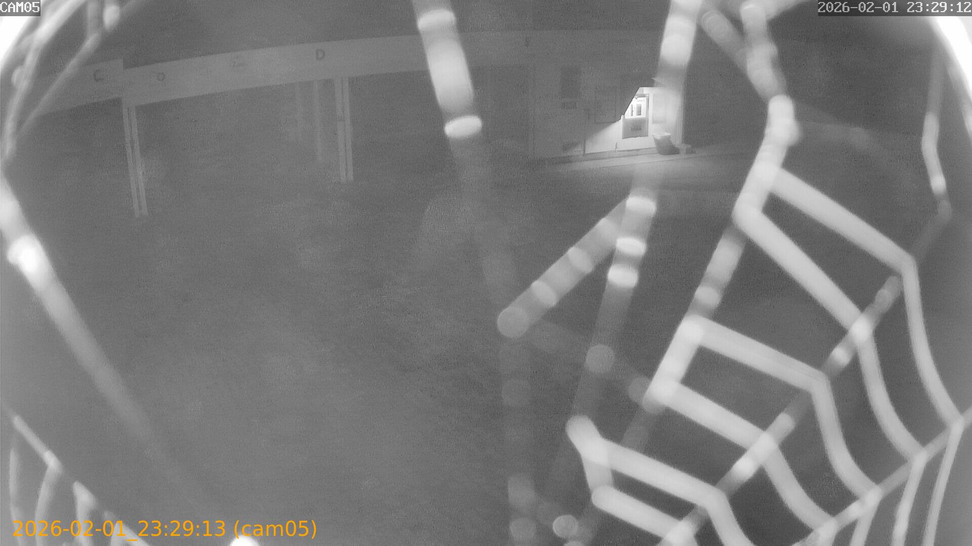 thumbnail_20260201232913