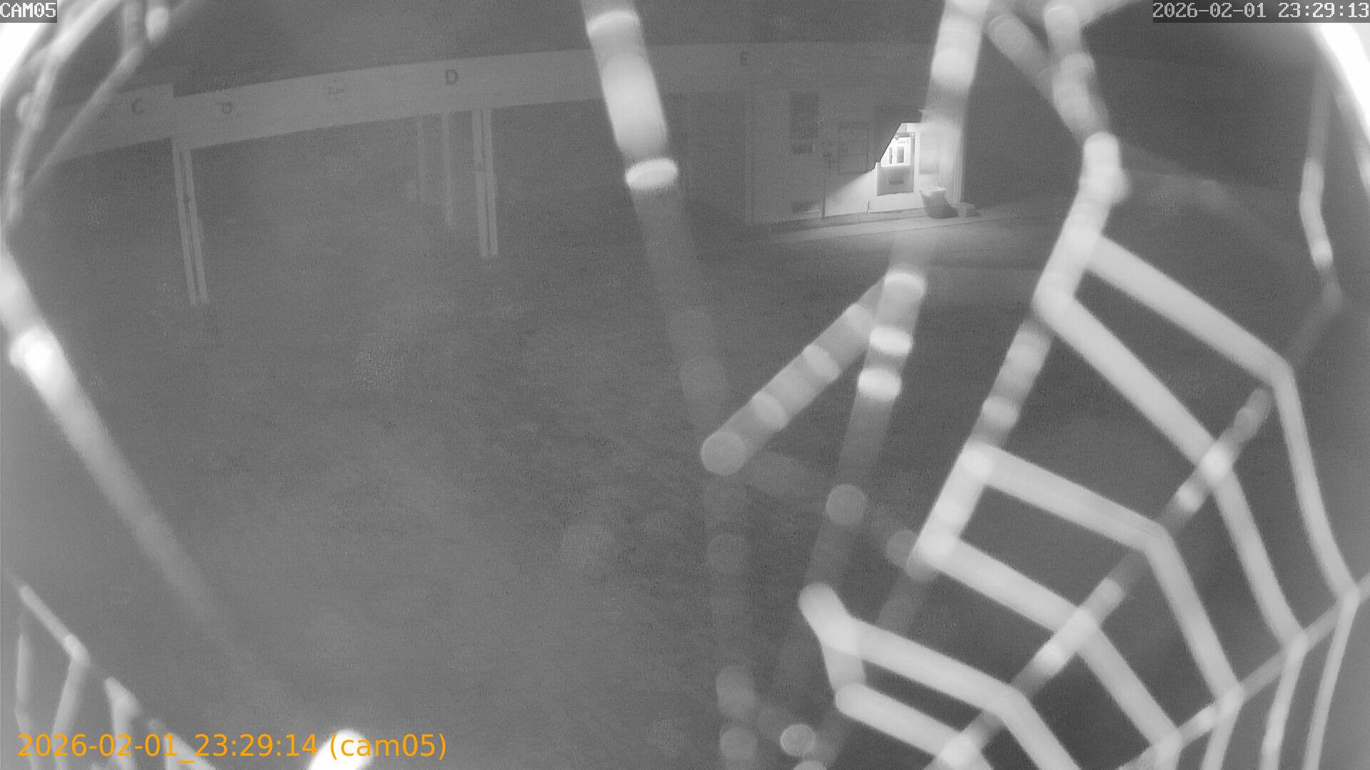 thumbnail_20260201232914