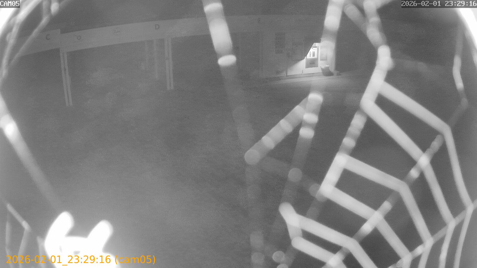 thumbnail_20260201232916