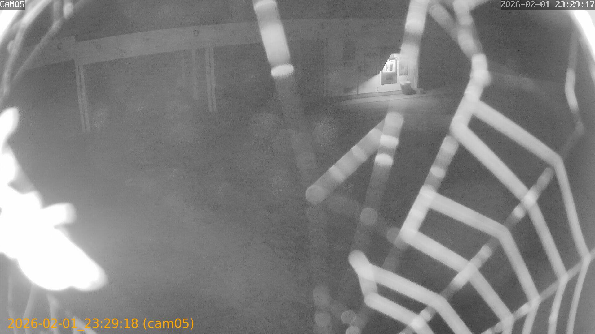 thumbnail_20260201232918