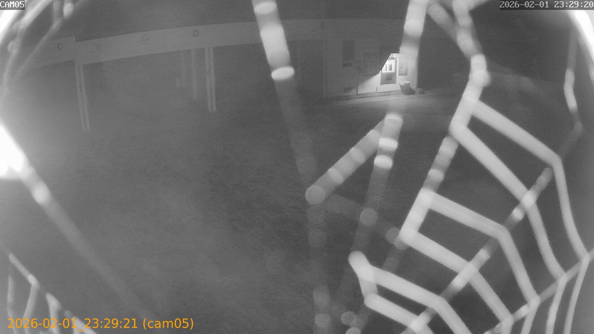 thumbnail_20260201232921