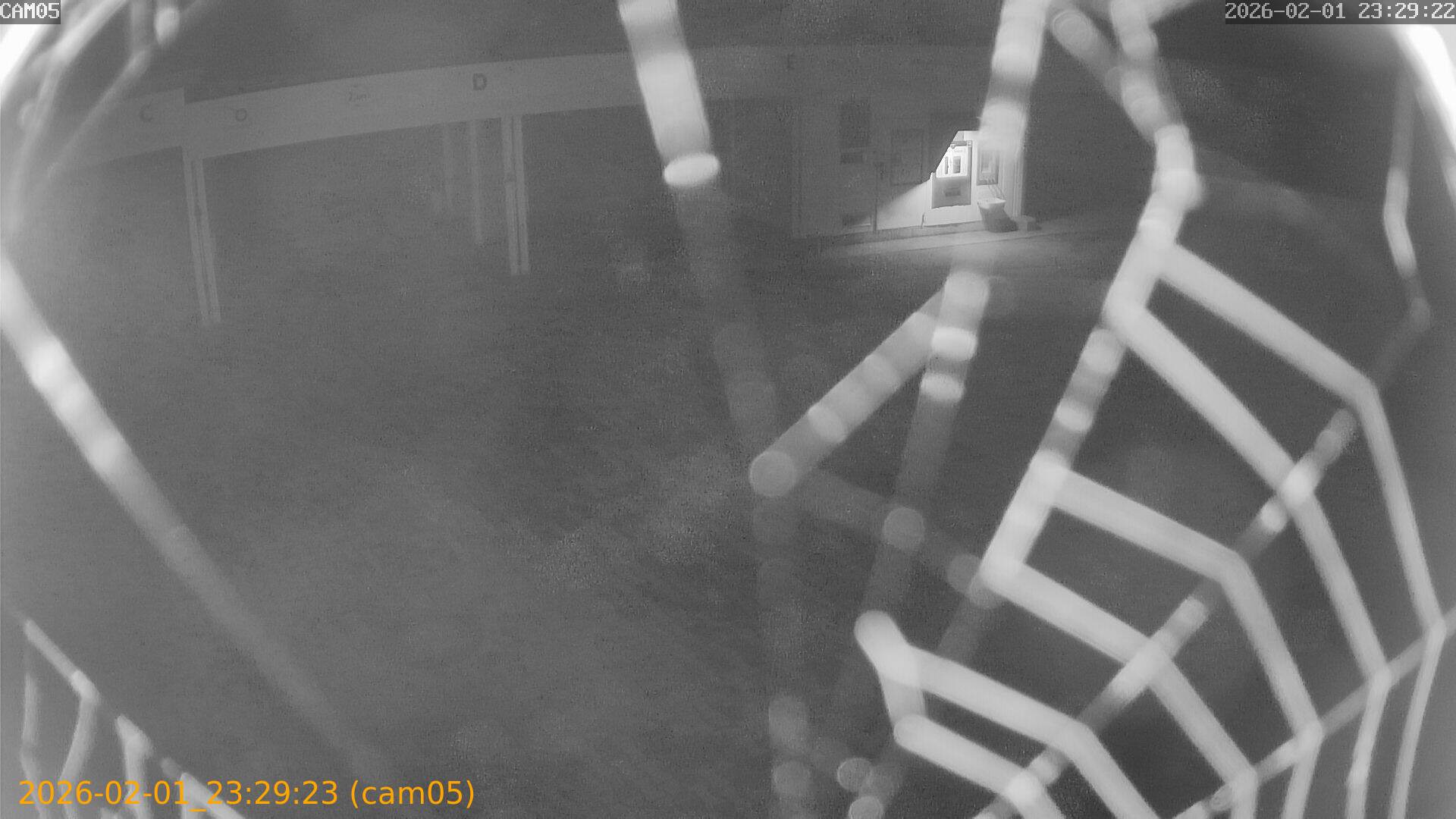 thumbnail_20260201232923