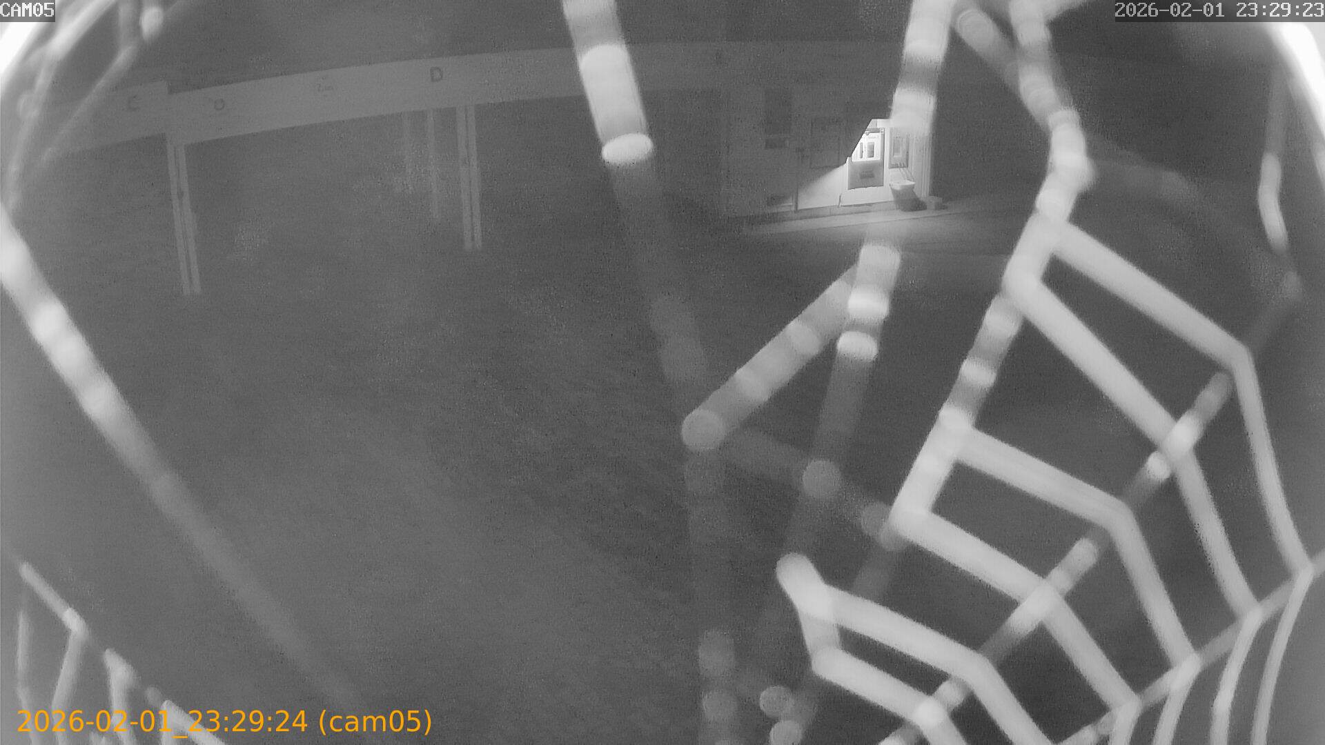 thumbnail_20260201232924