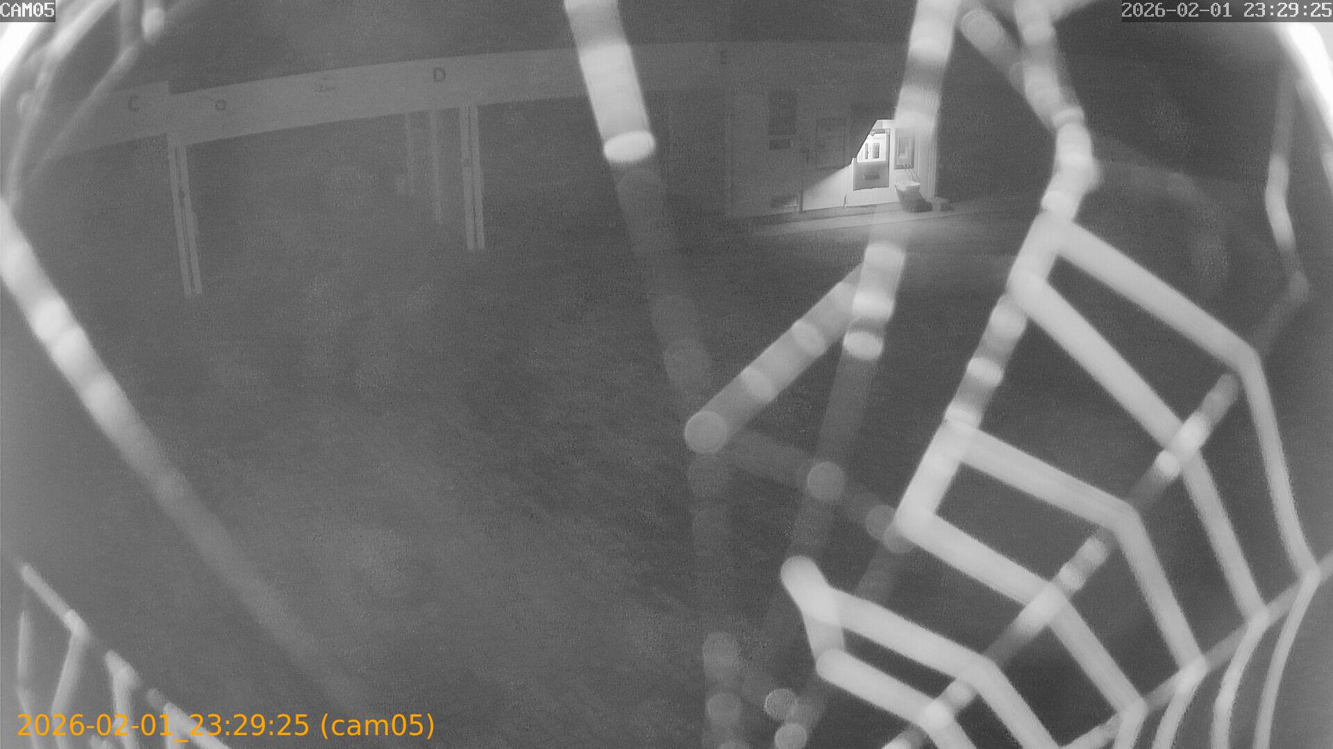 thumbnail_20260201232925