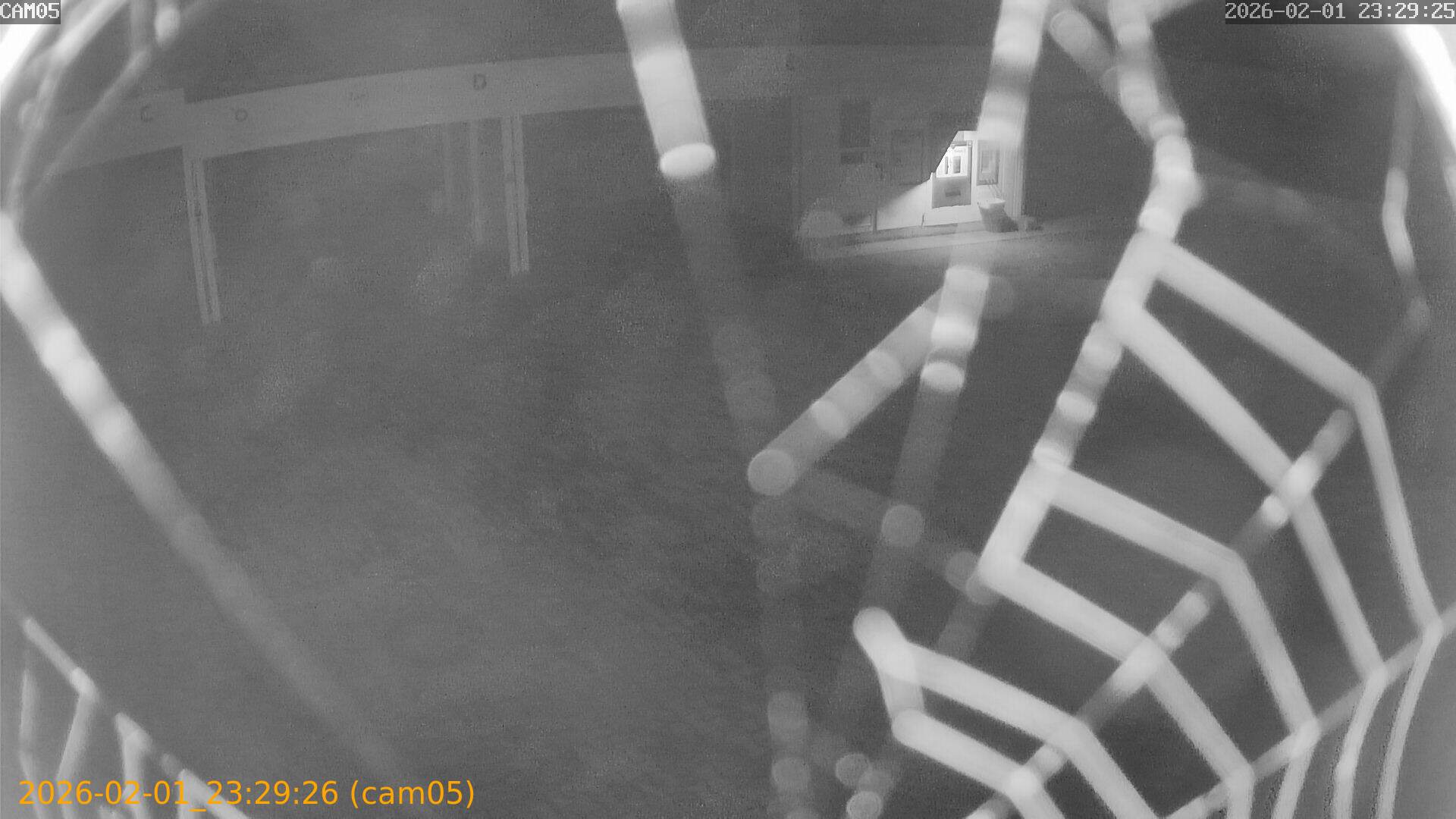 thumbnail_20260201232926