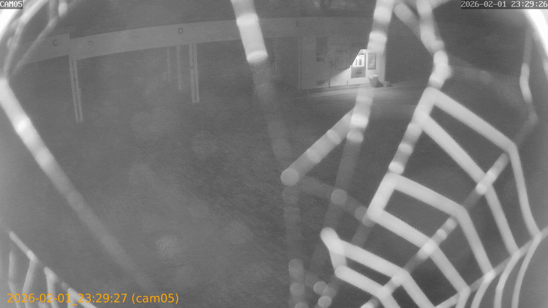 thumbnail_20260201232927