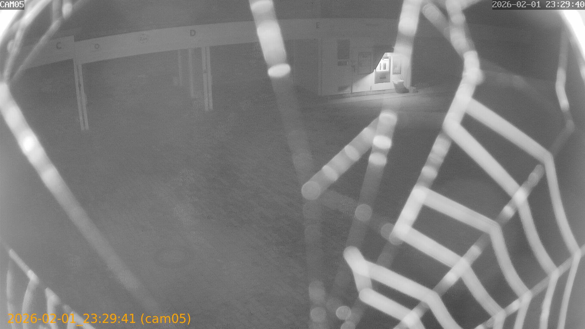 thumbnail_20260201232941