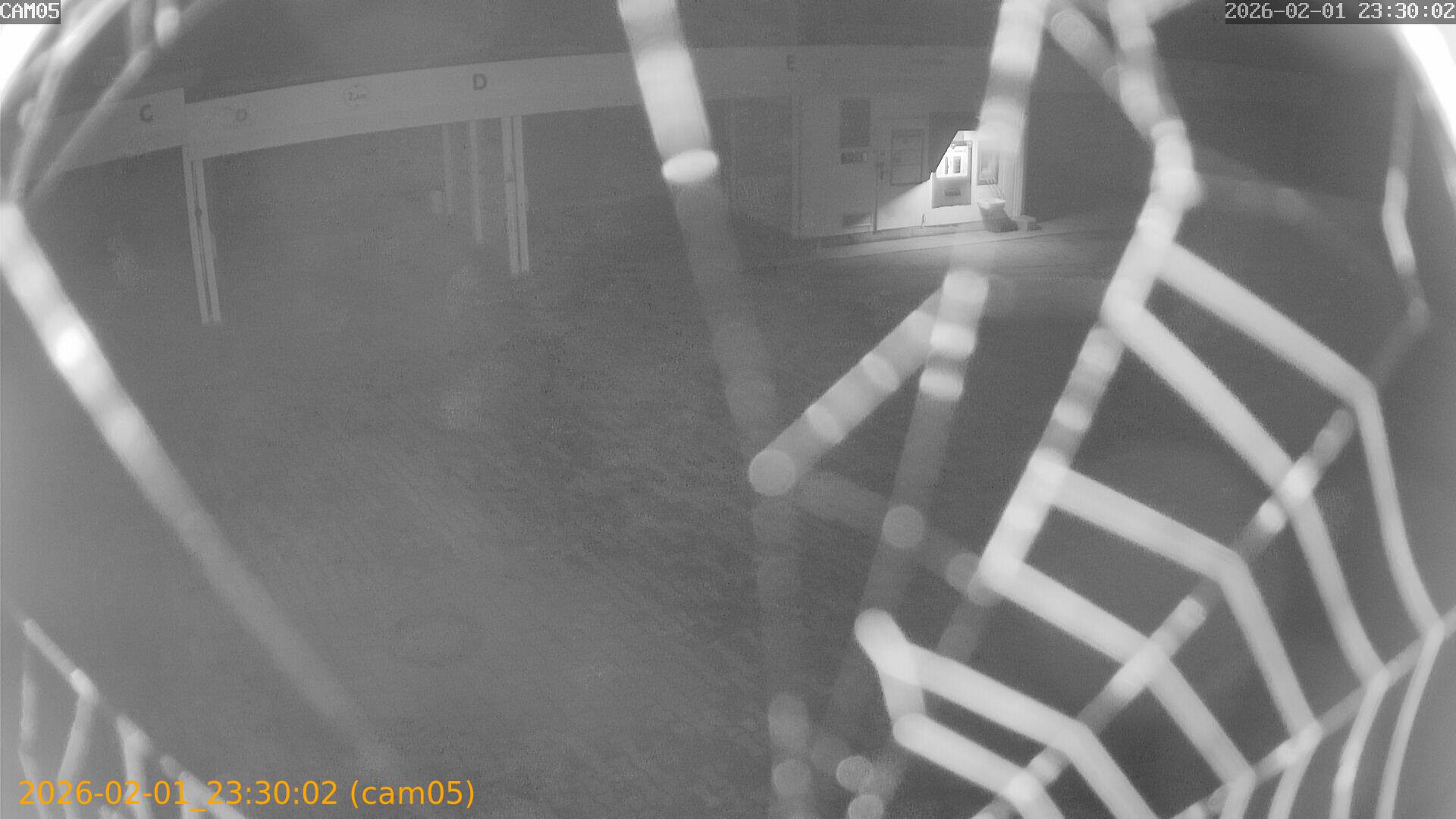 thumbnail_20260201233002